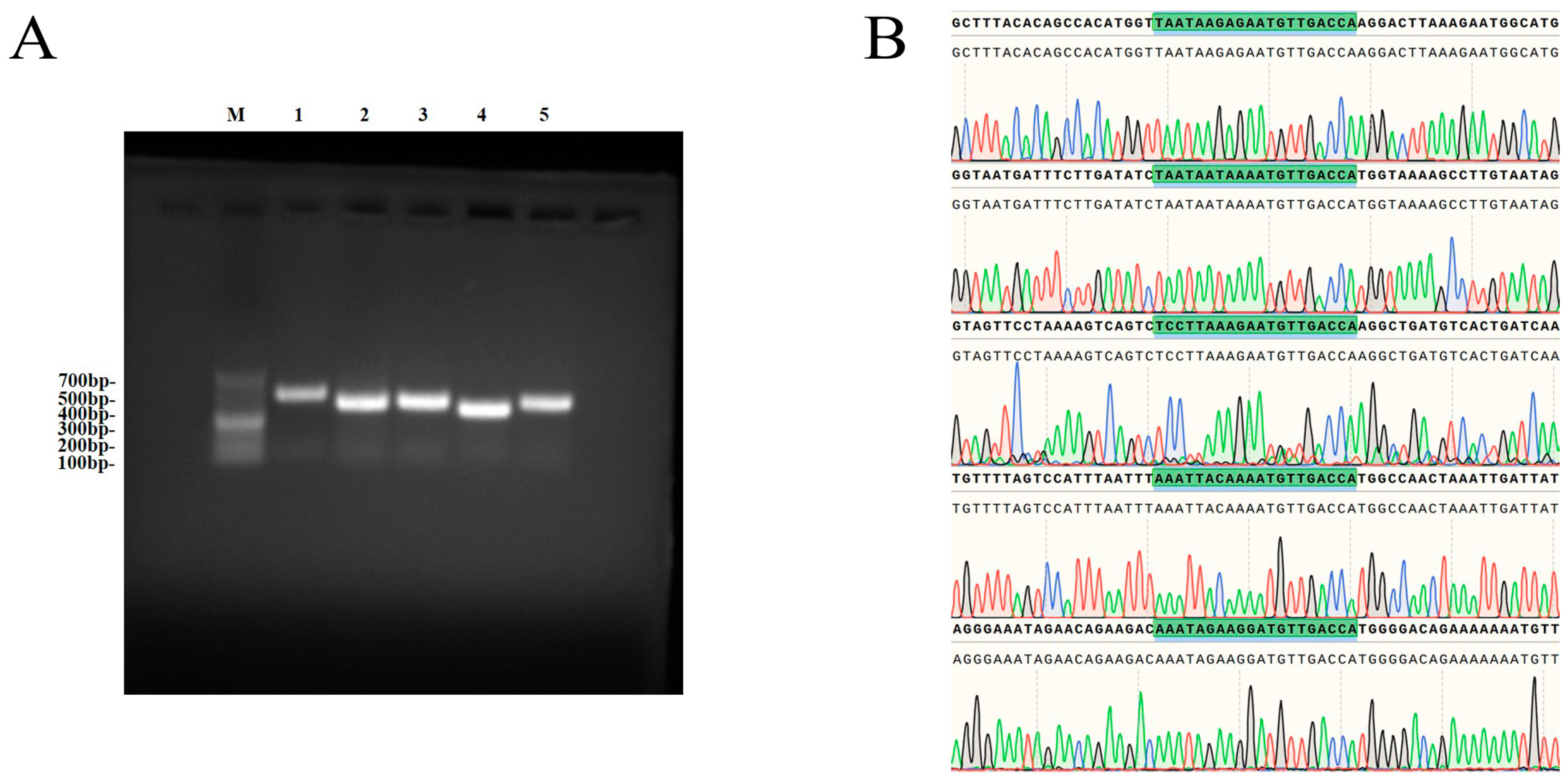 Cells 15 01516 g003 Cells 15 01516 g003
