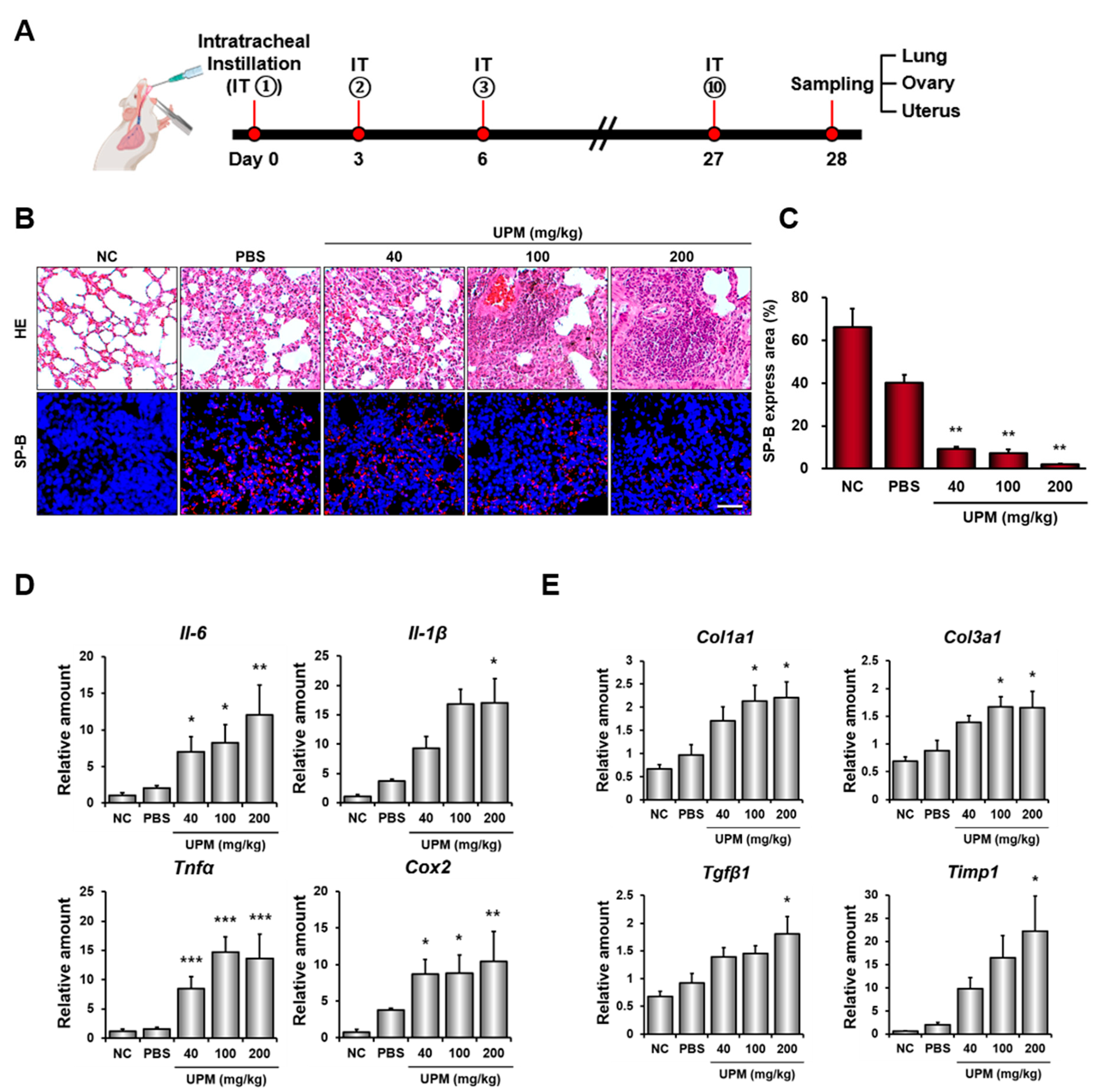 Cells 15 01522 g001 Cells 15 01522 g001
