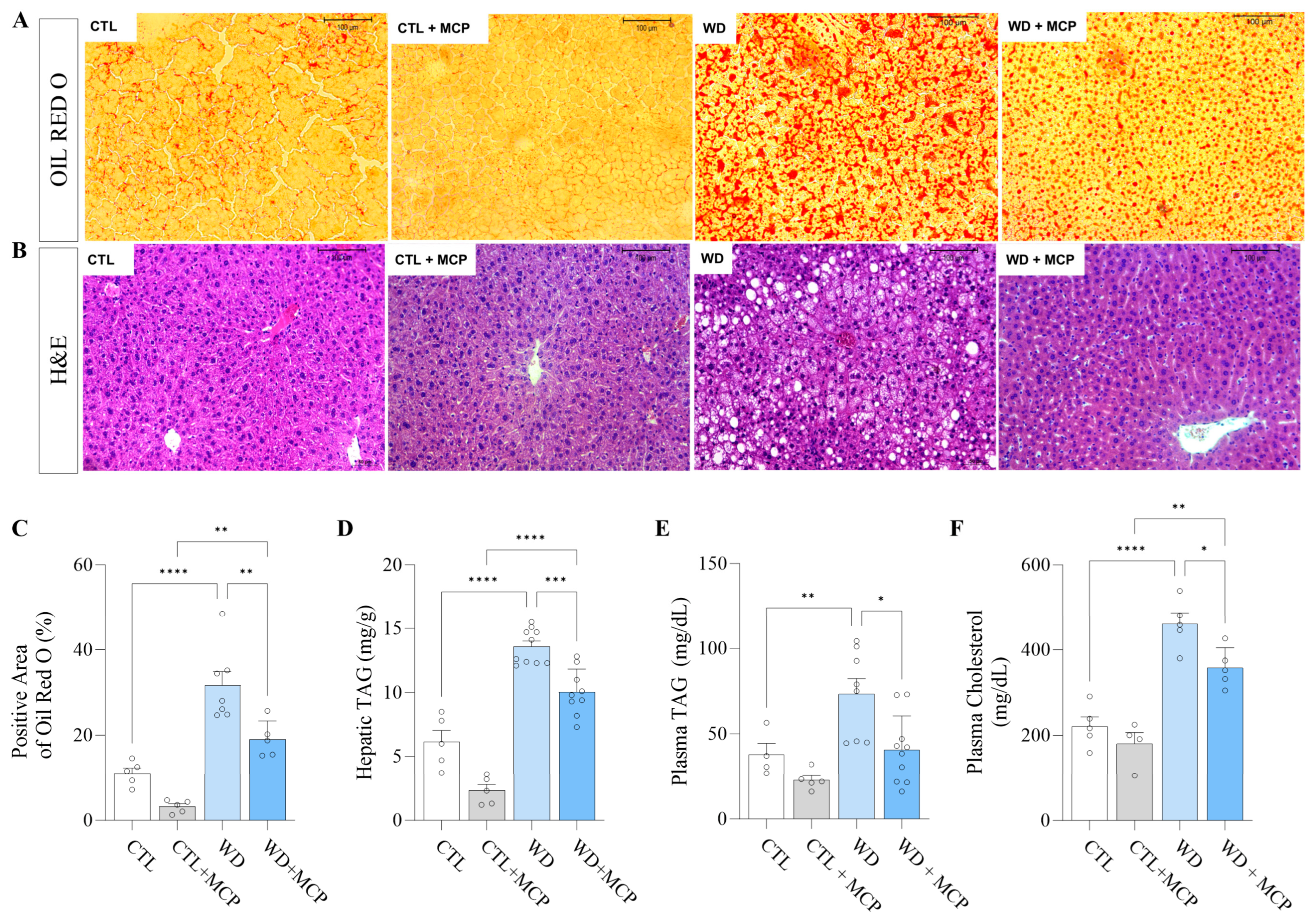 Cells 15 01544 g004