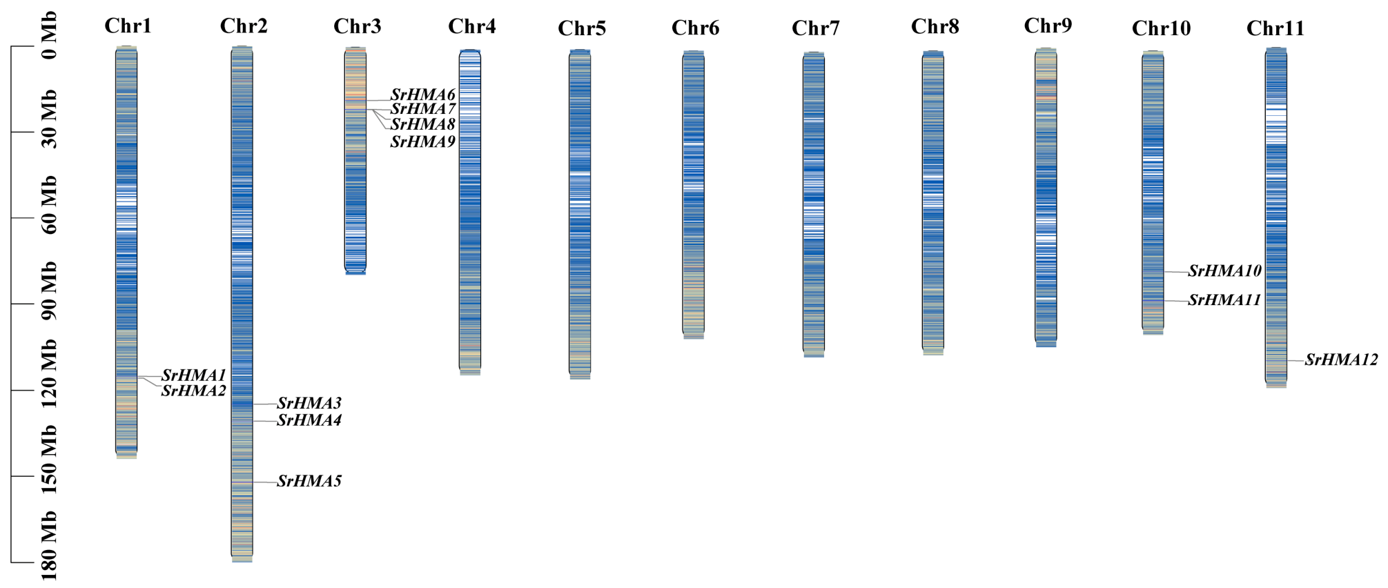 Cells 15 01646 g003