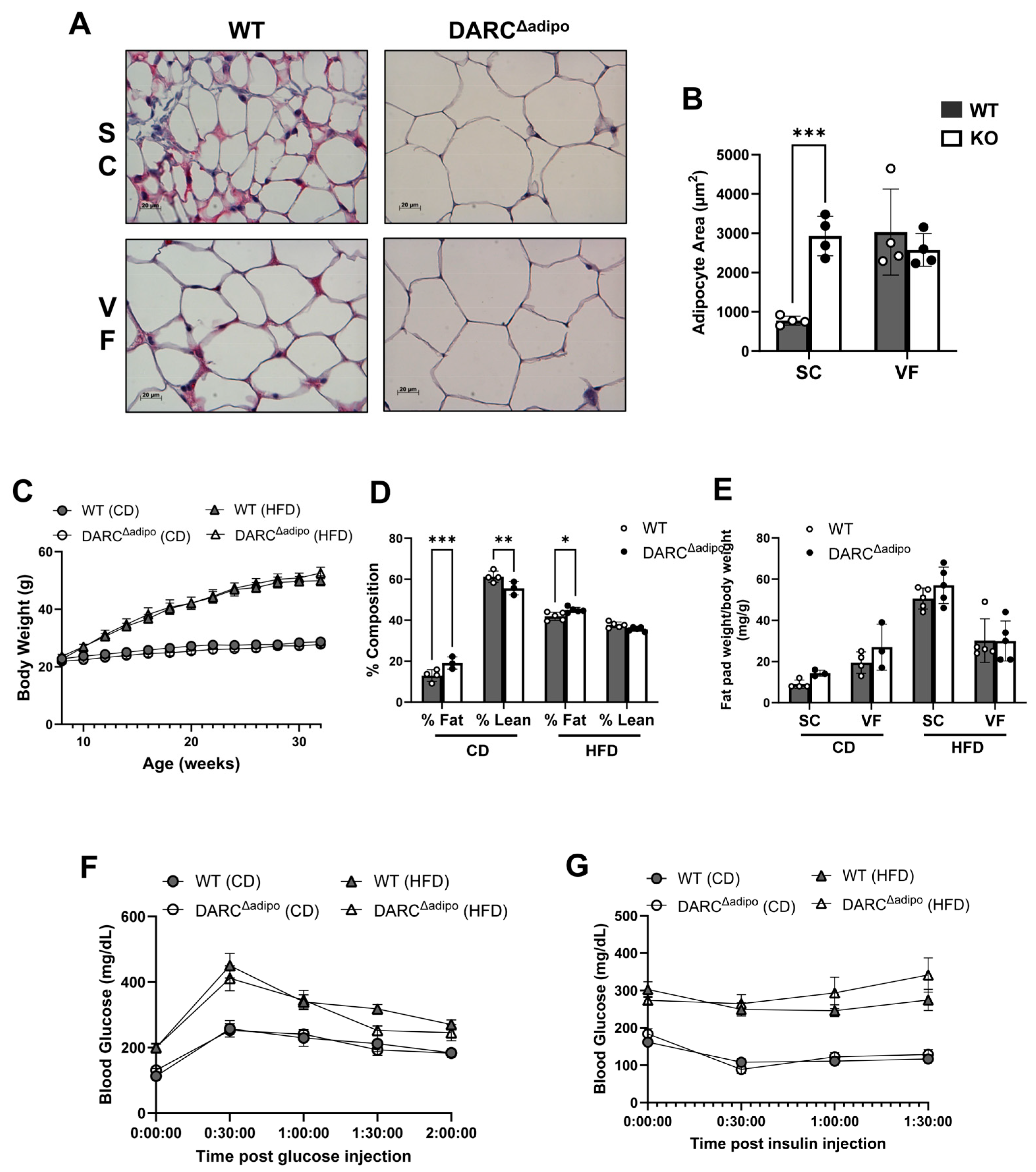 Cells 15 01664 g005 Cells 15 01664 g005