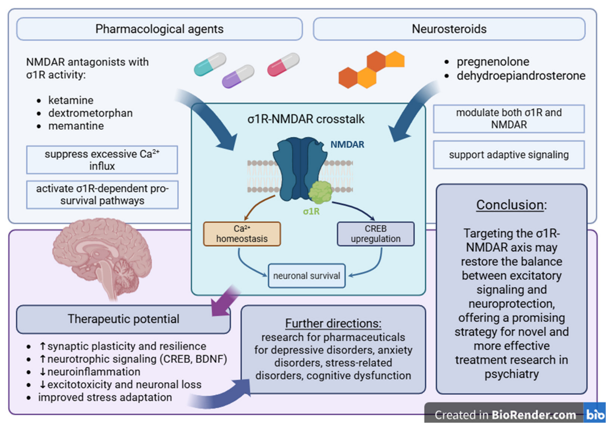 Intracellular Crosstalk Between NMDA and Sigma-1 Receptors: A
