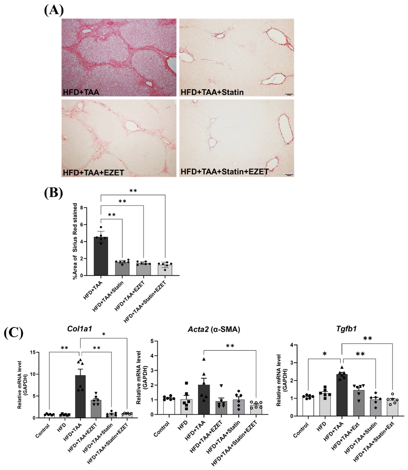 Cells 15 01700 g003