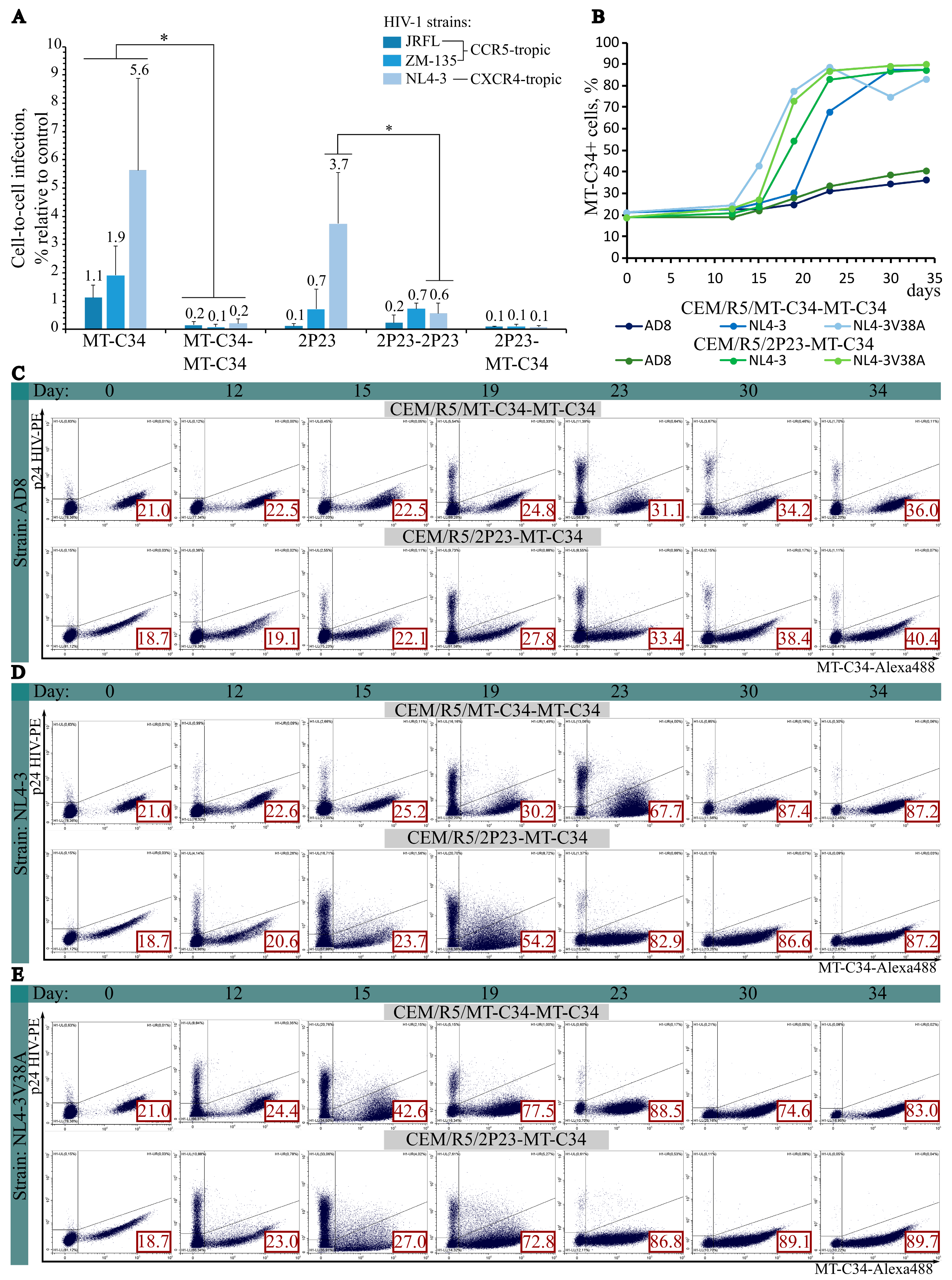 Cells 15 01704 g002 Cells 15 01704 g002