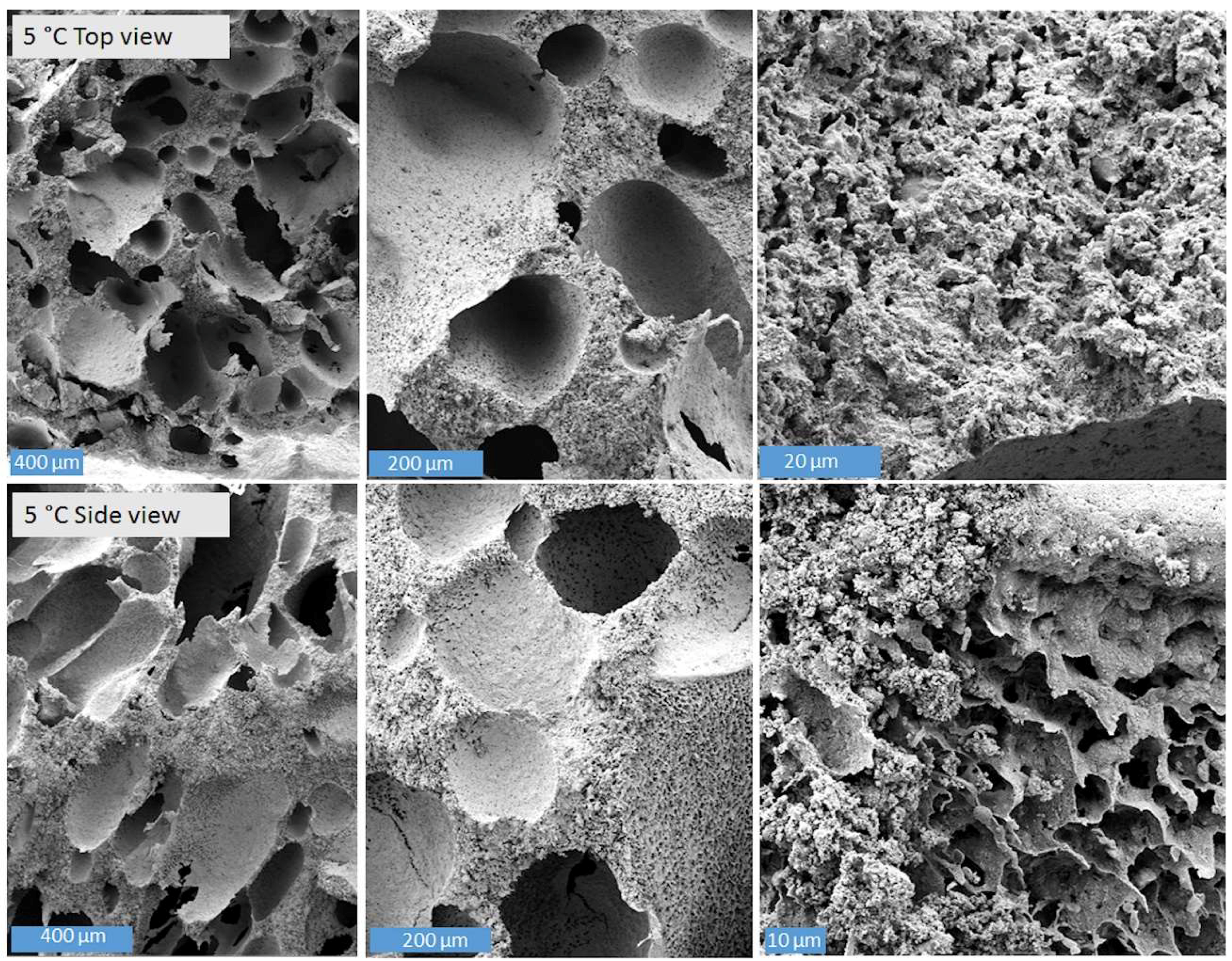 Ceramics 01 00007 g012