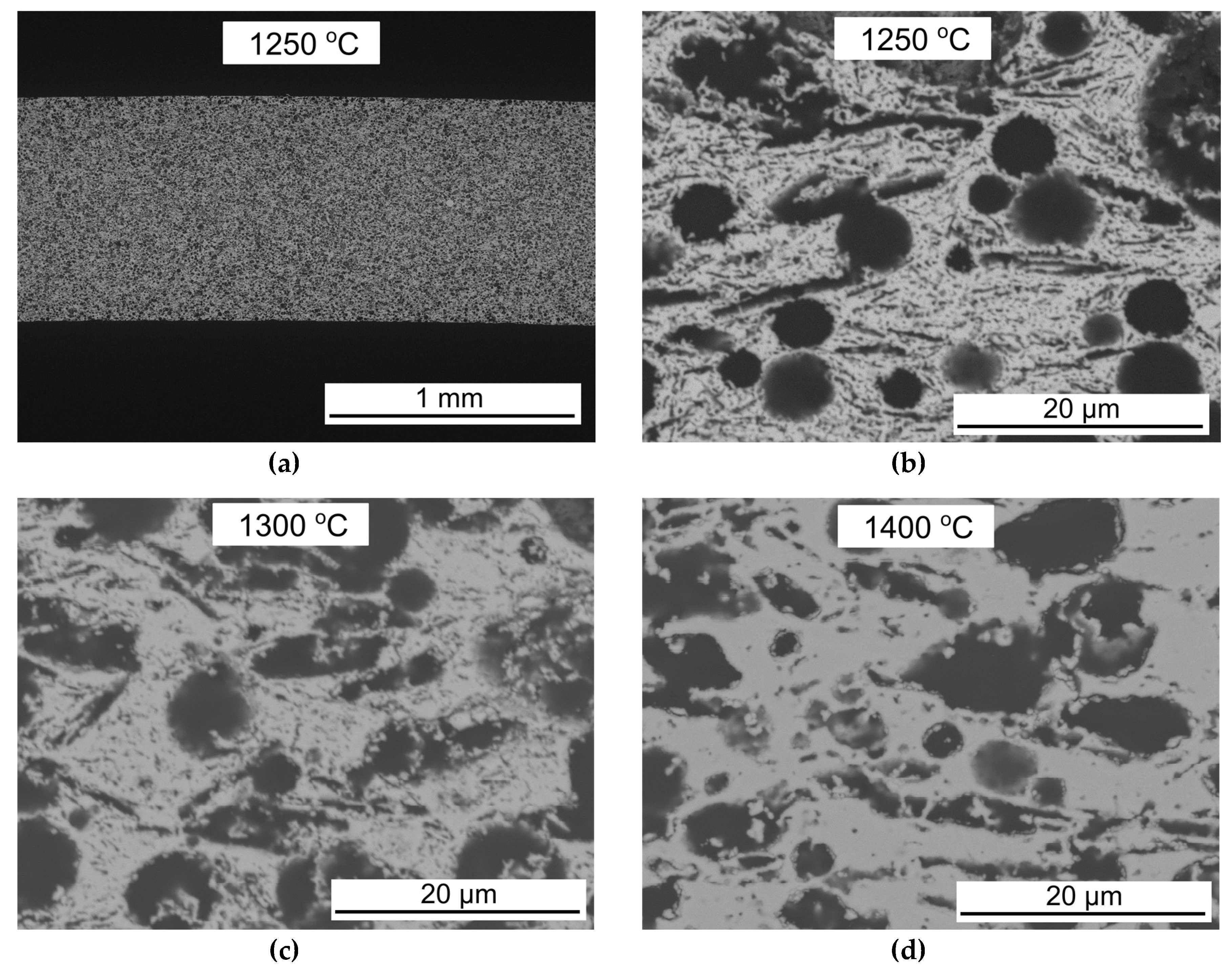 Ceramics 01 00019 g002 Ceramics 01 00019 g002