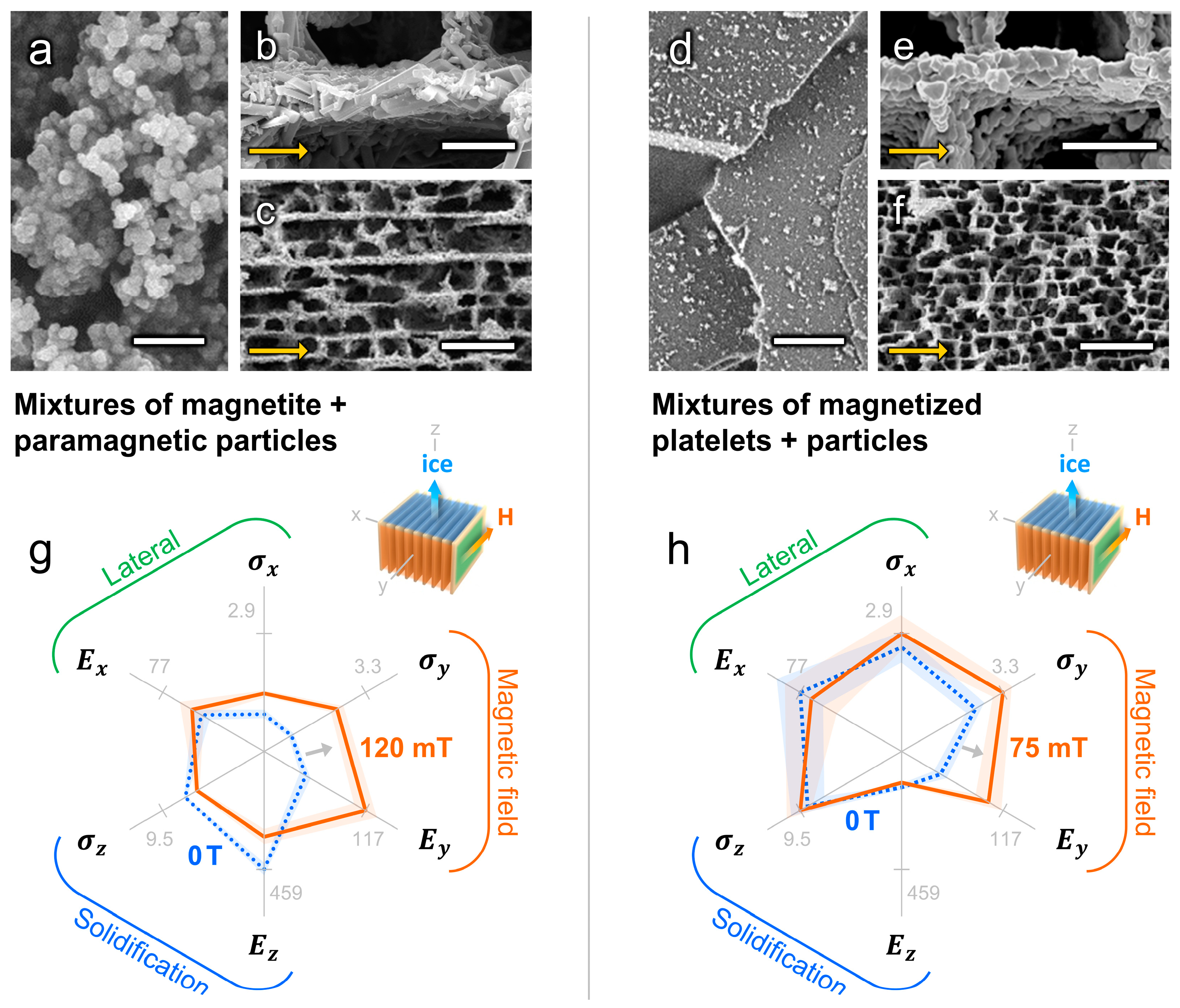 Ceramics 02 00018 g010