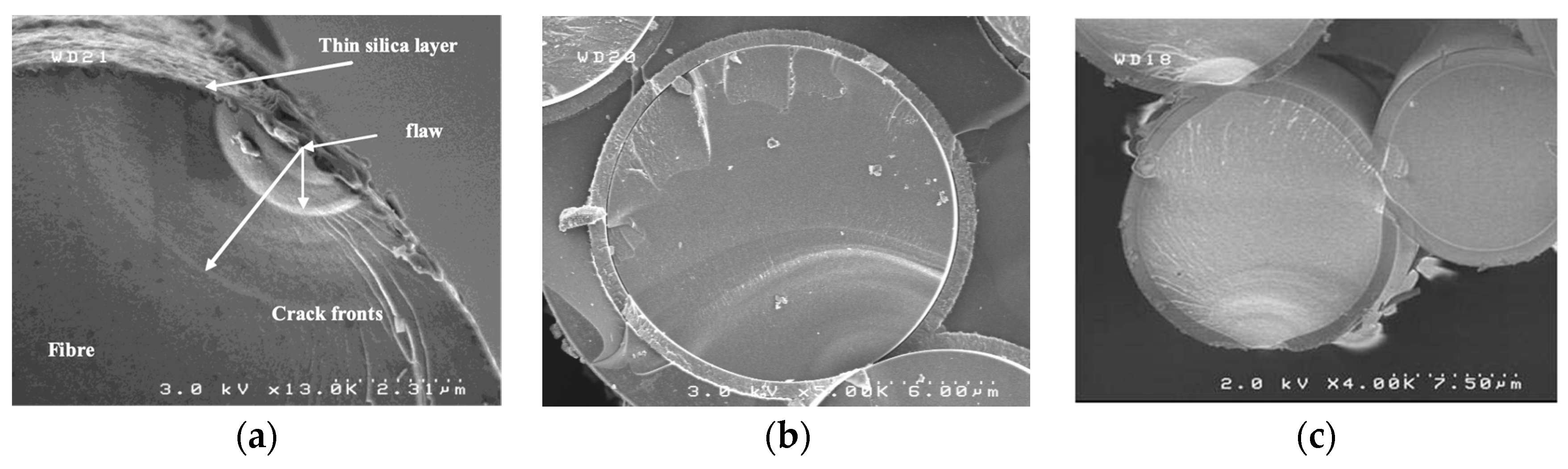 Ceramics 02 00033 g003