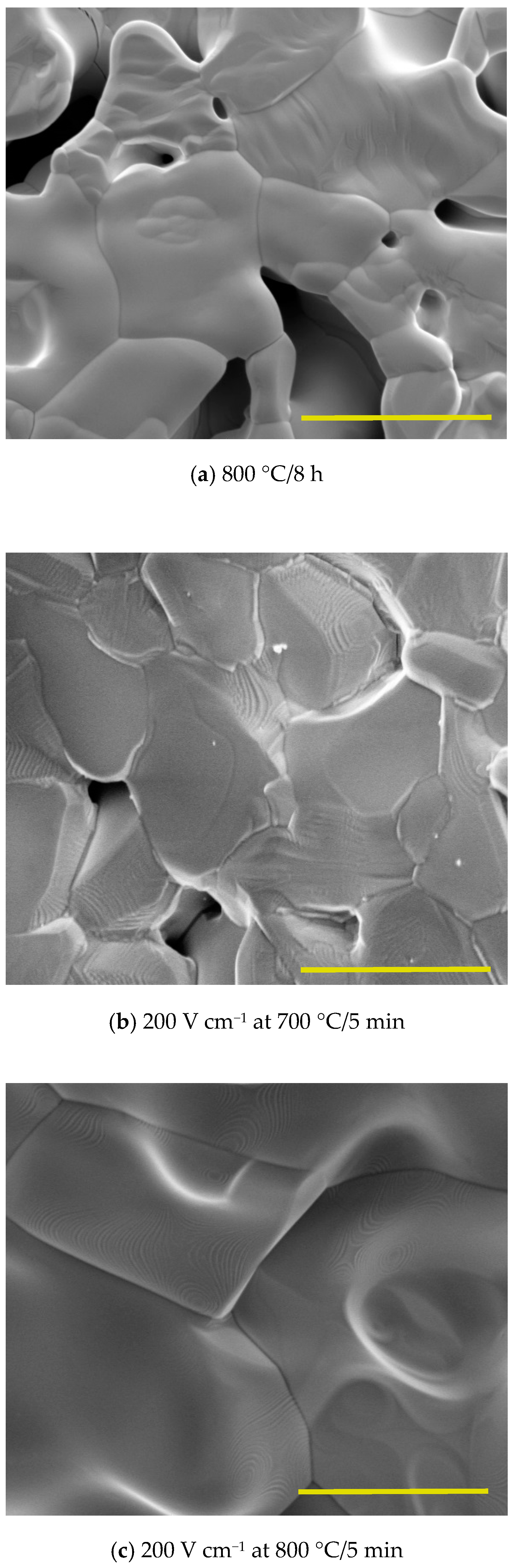 Ceramics 02 00038 g007 Ceramics 02 00038 g007