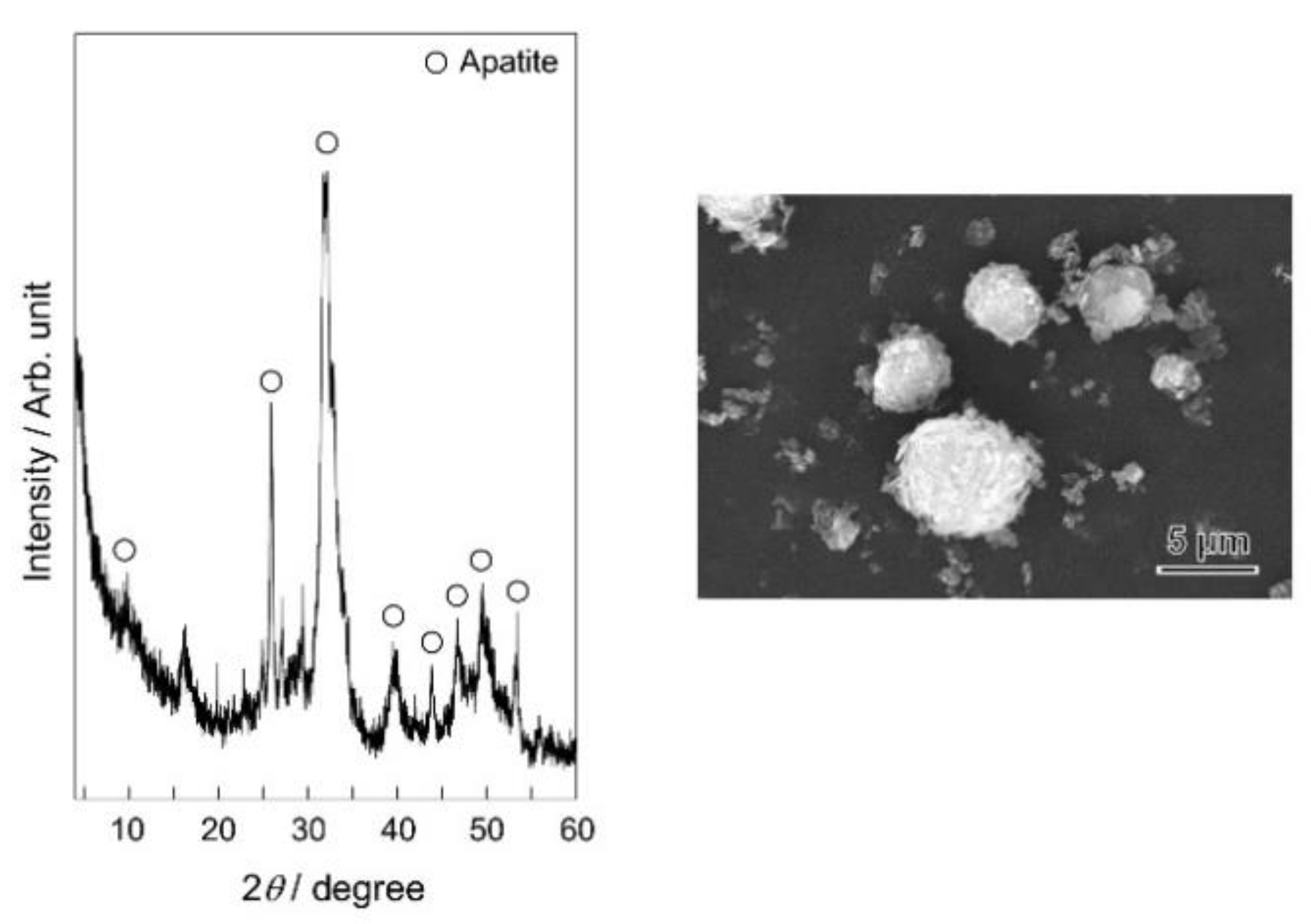 Ceramics 04 00023 g001 Ceramics 04 00023 g001