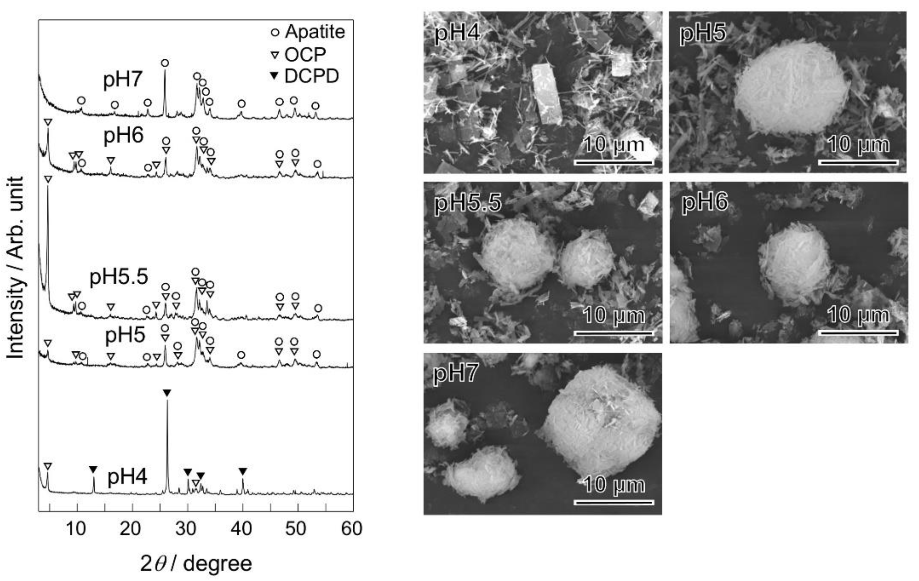 Ceramics 04 00023 g002 Ceramics 04 00023 g002