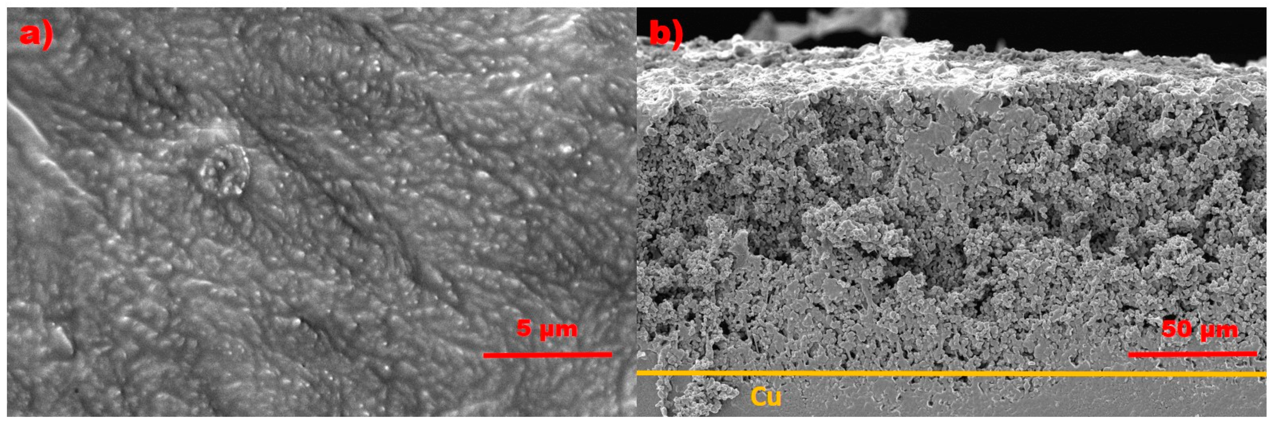 Ceramics 04 00031 g004 550