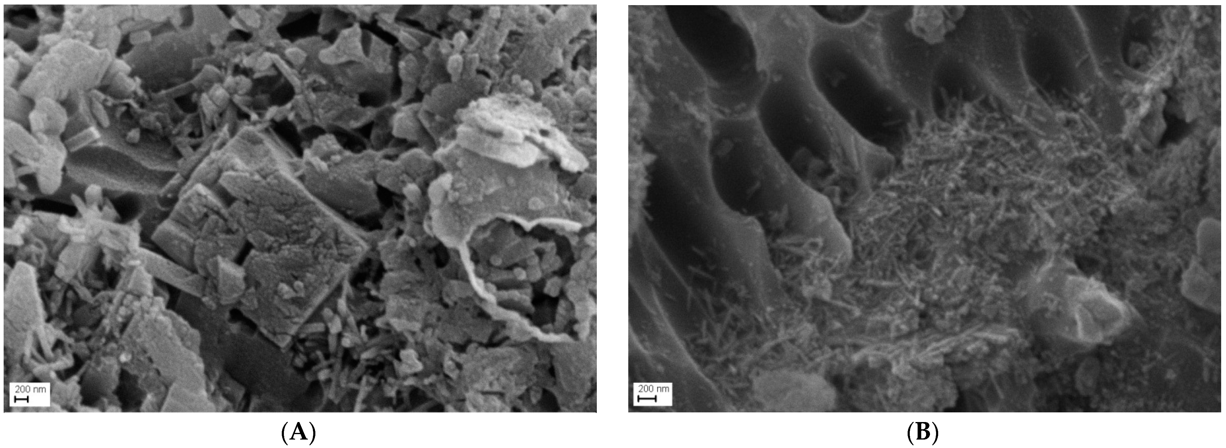 Ceramics 04 00036 g005 550