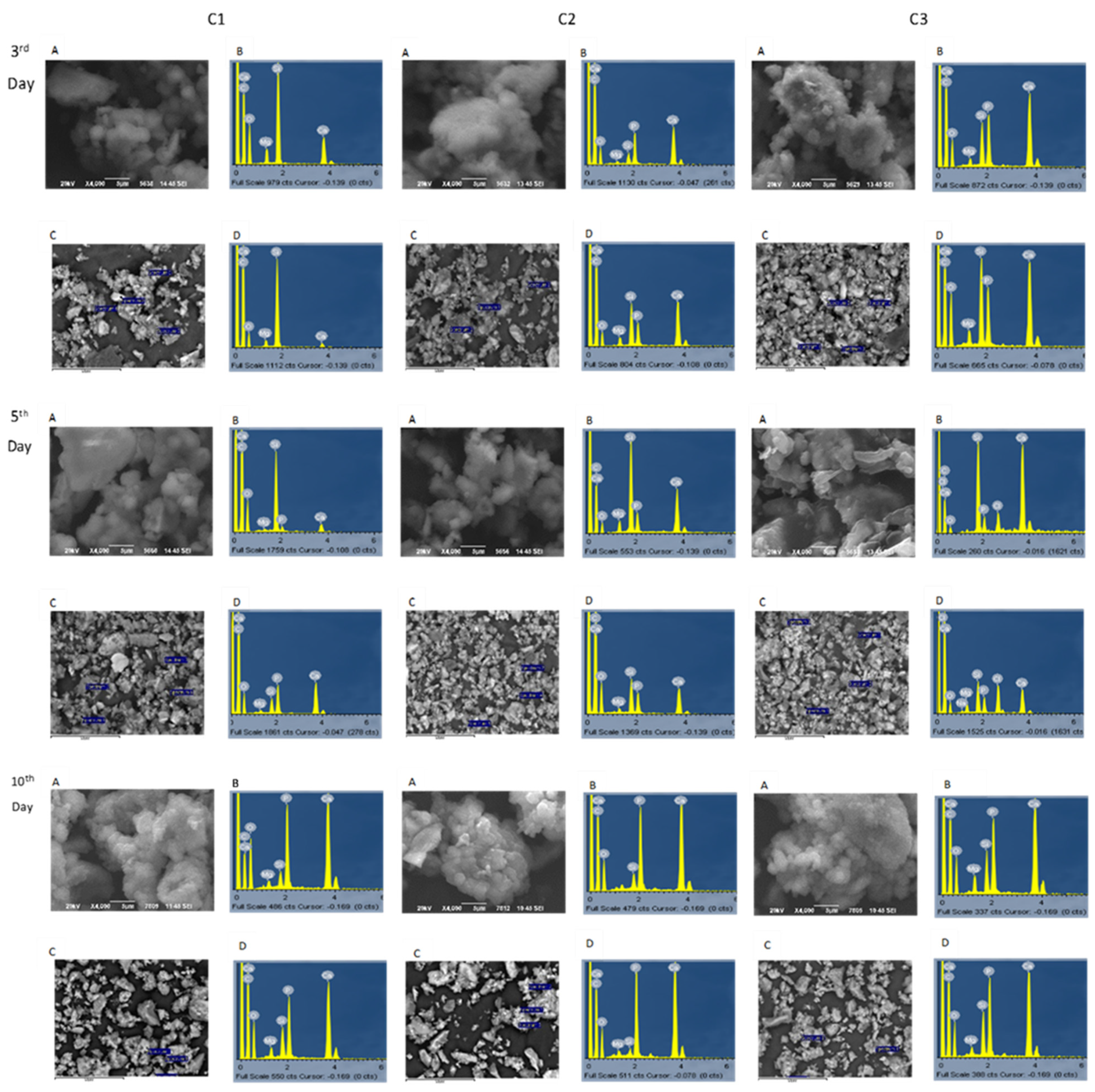 Ceramics 04 00045 g007