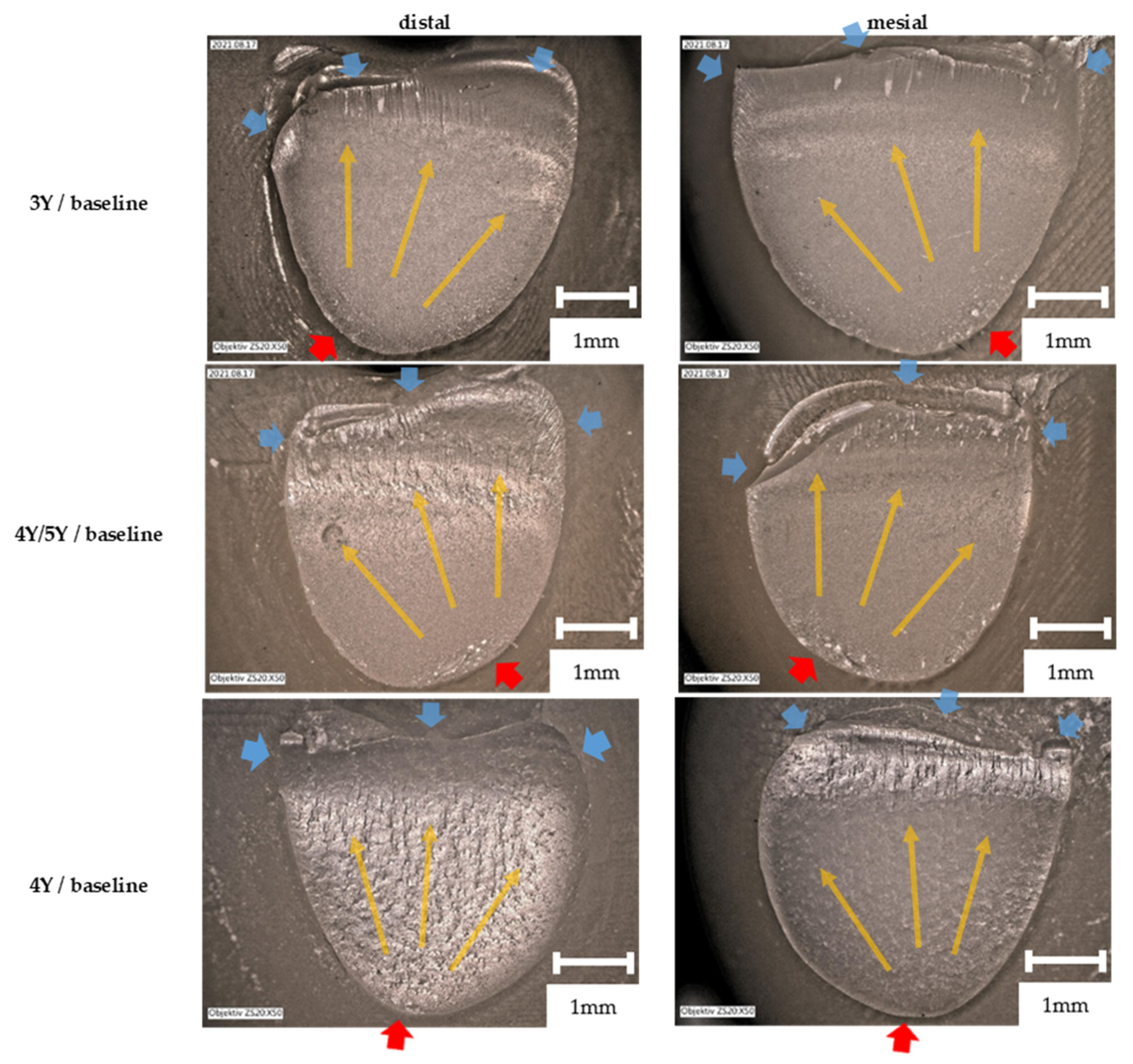 Ceramics 05 00009 g002 550