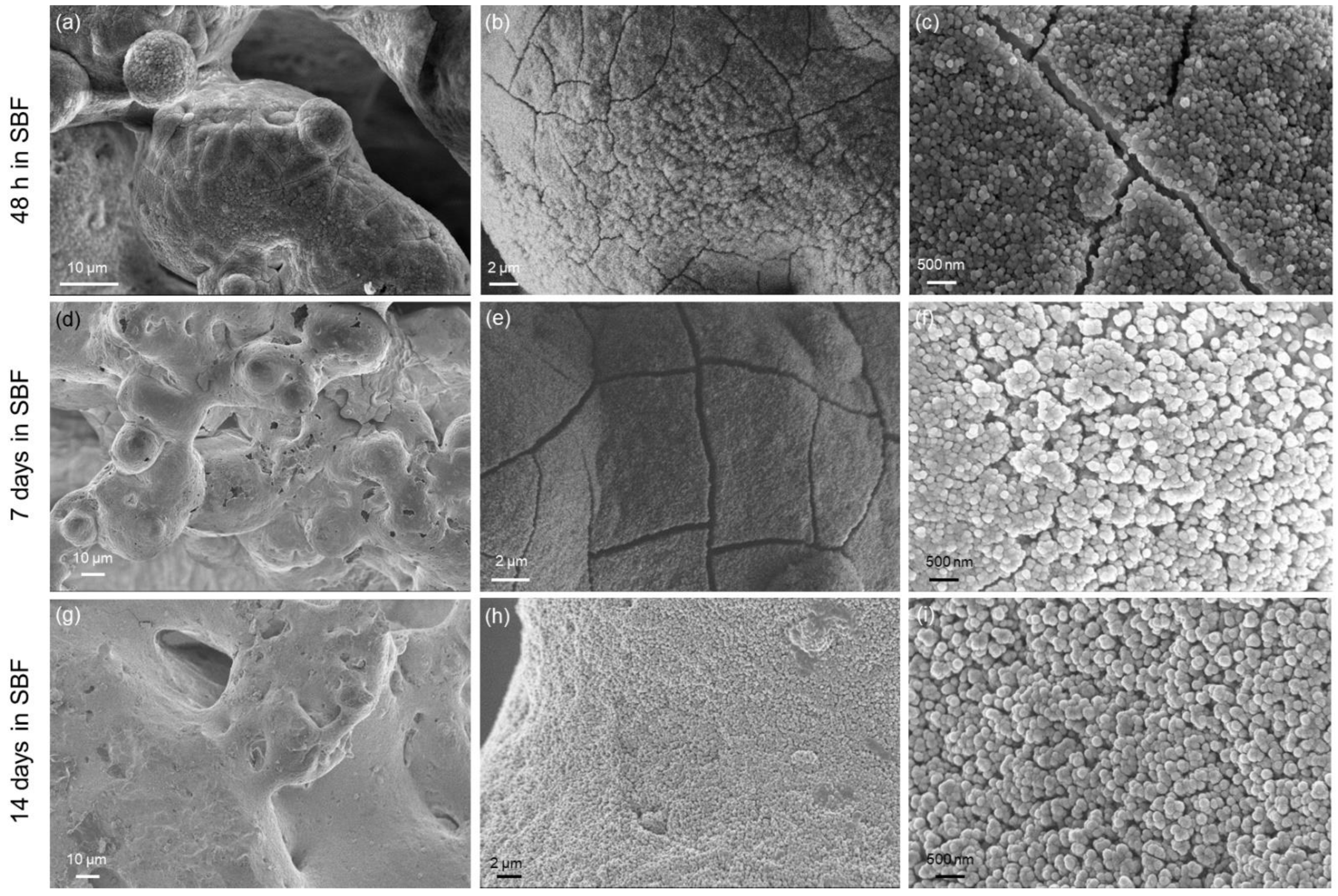 Ceramics 05 00011 g007