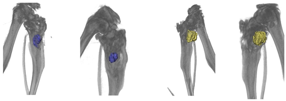 Ceramics 05 00026 i003