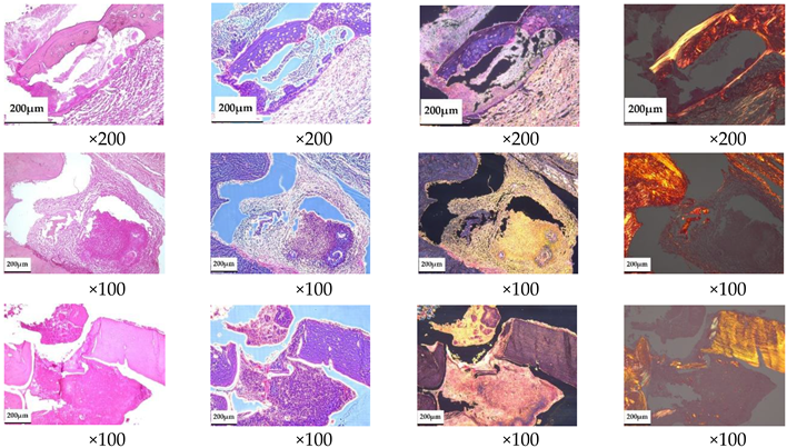 Ceramics 05 00026 i005