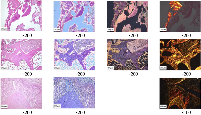 Ceramics 05 00026 i006