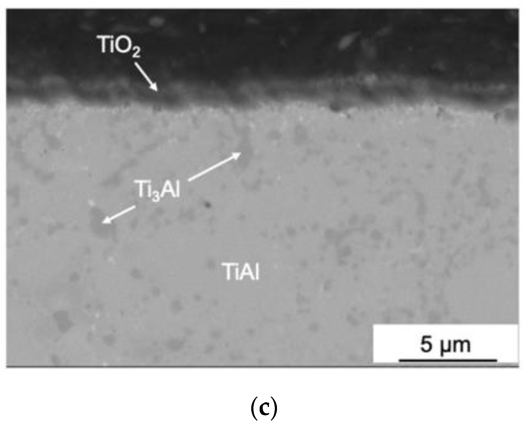 Ceramics 05 00030 g006b 550