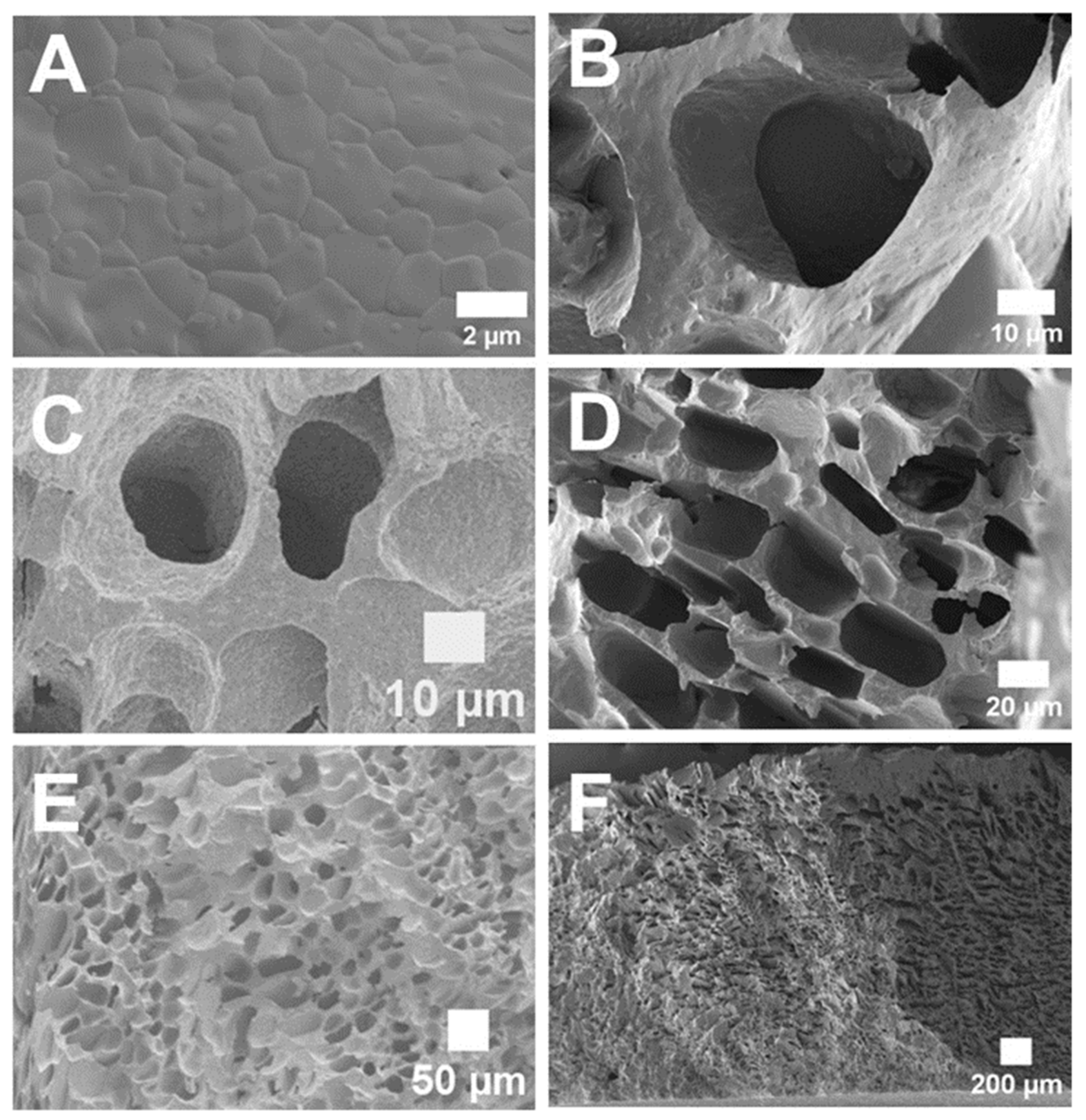 Ceramics 05 00036 g002