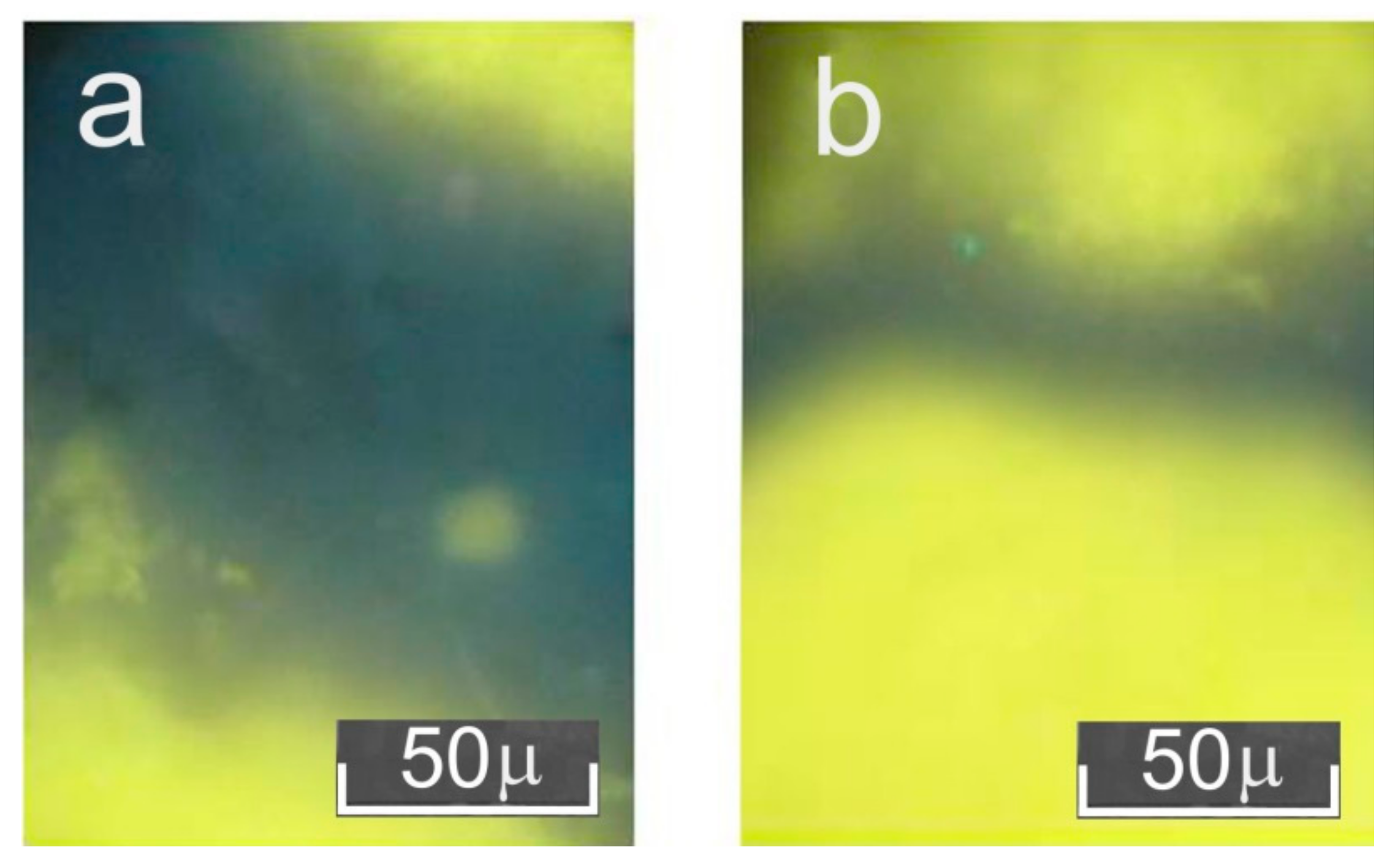 Ceramics 05 00038 g004 550