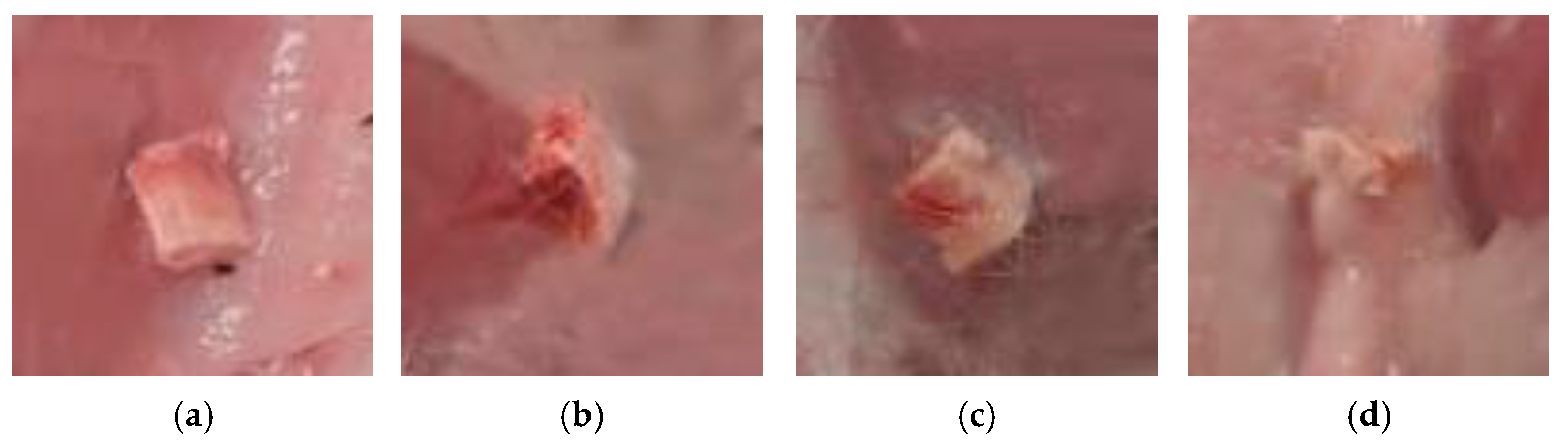 Ceramics 05 00039 g015 550