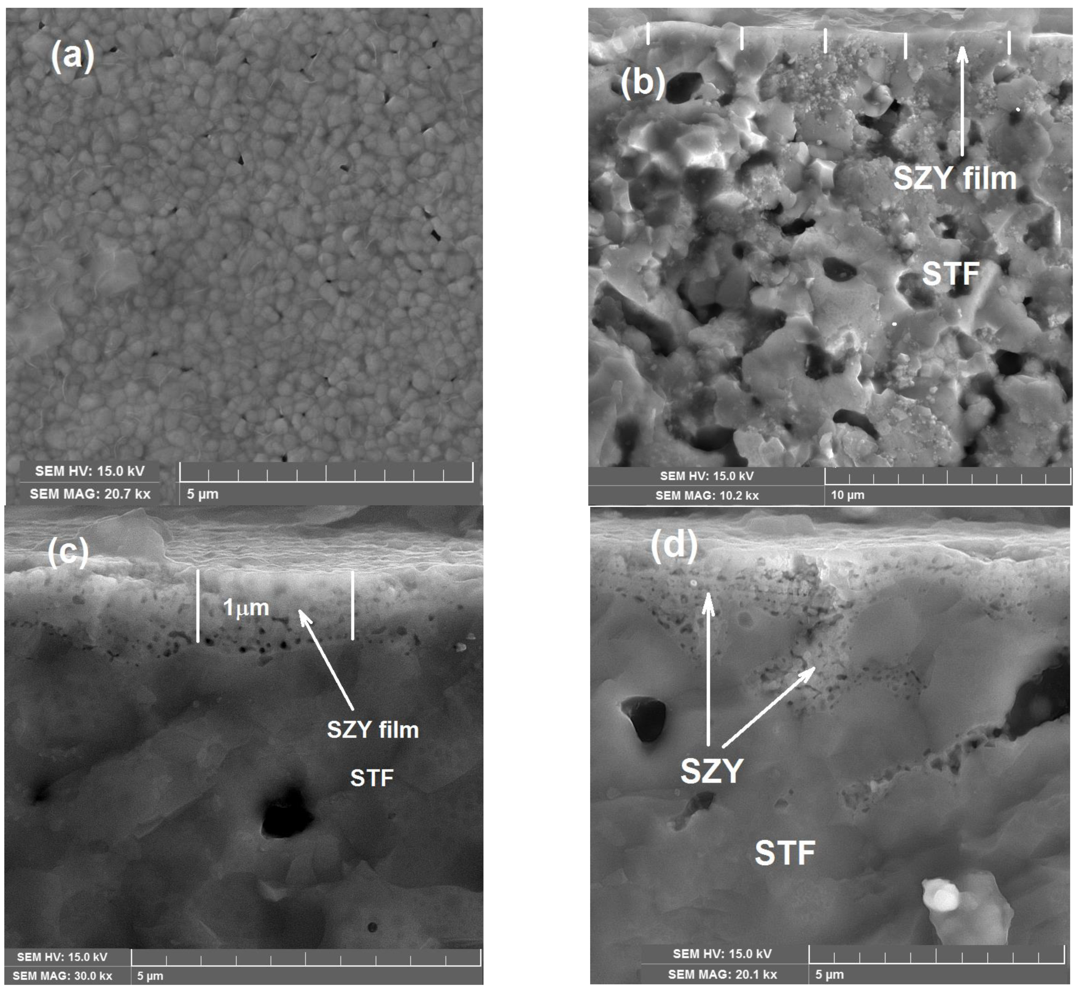 Ceramics 05 00045 g005 Ceramics 05 00045 g005