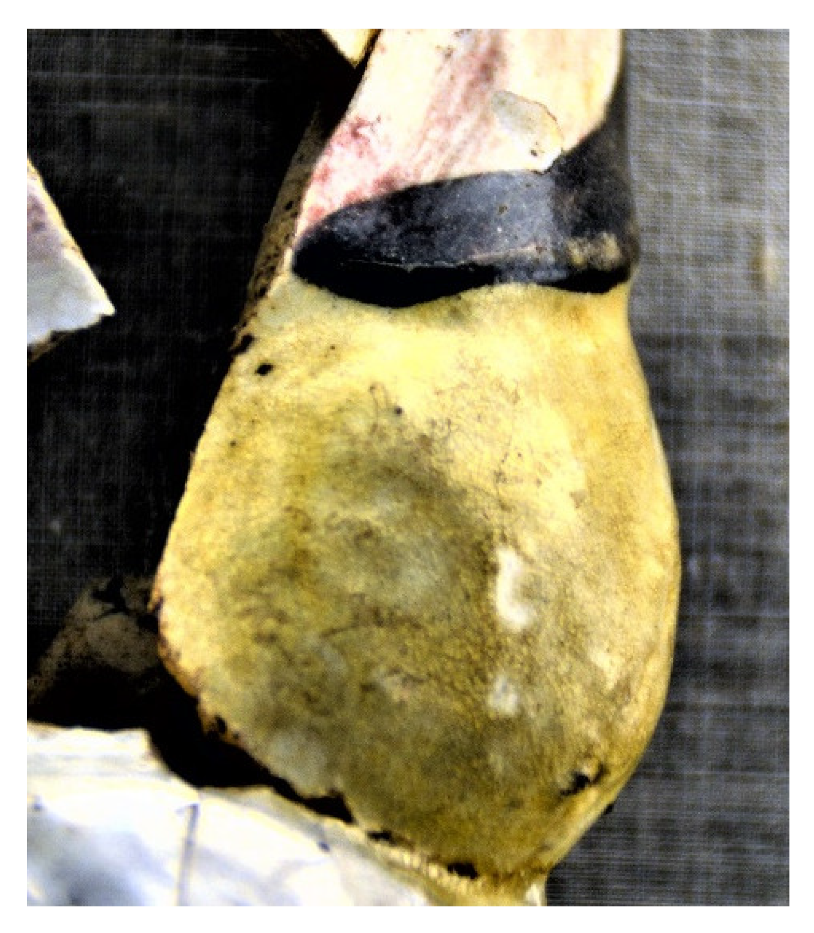 Ceramics 05 00049 g012 550