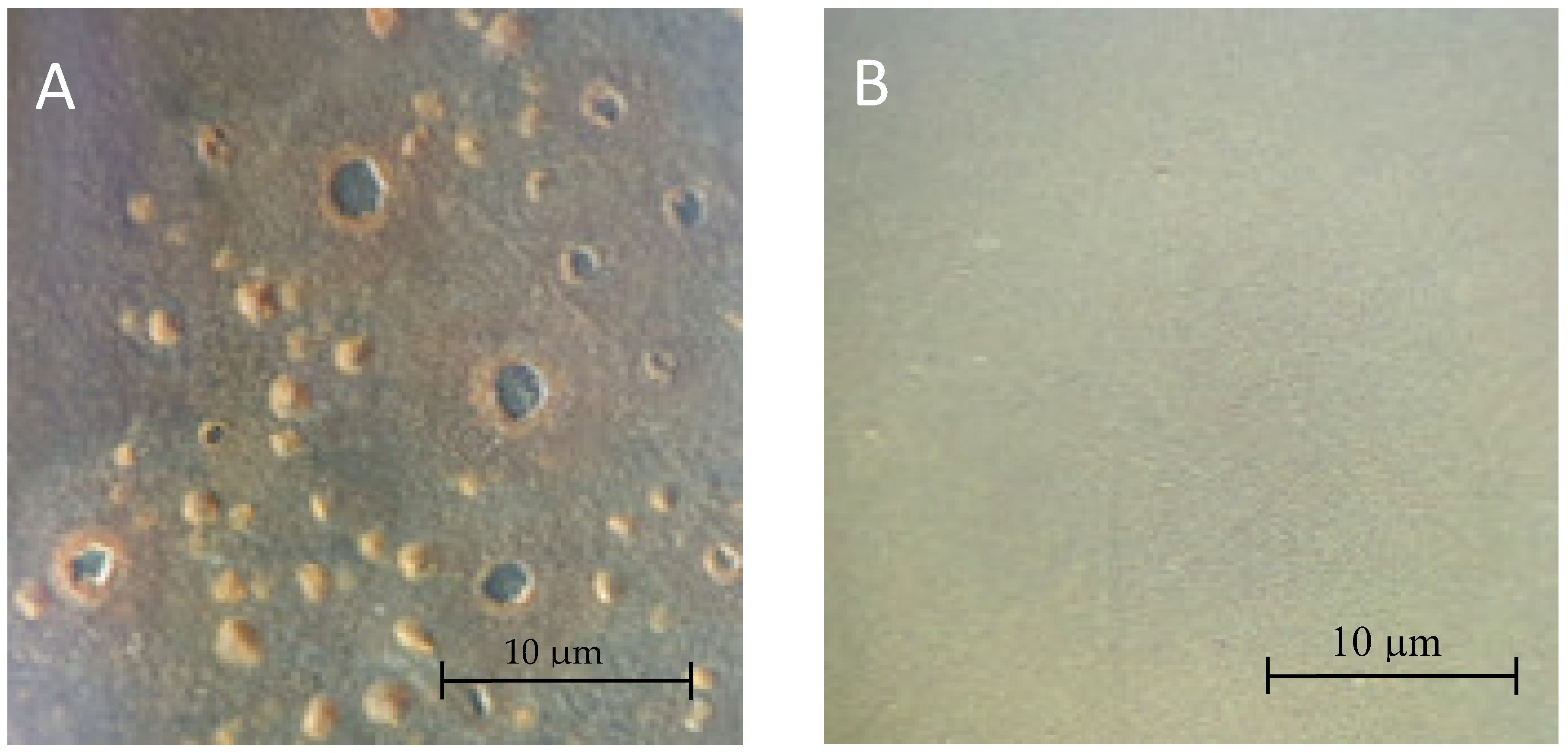 Ceramics 05 00051 g009