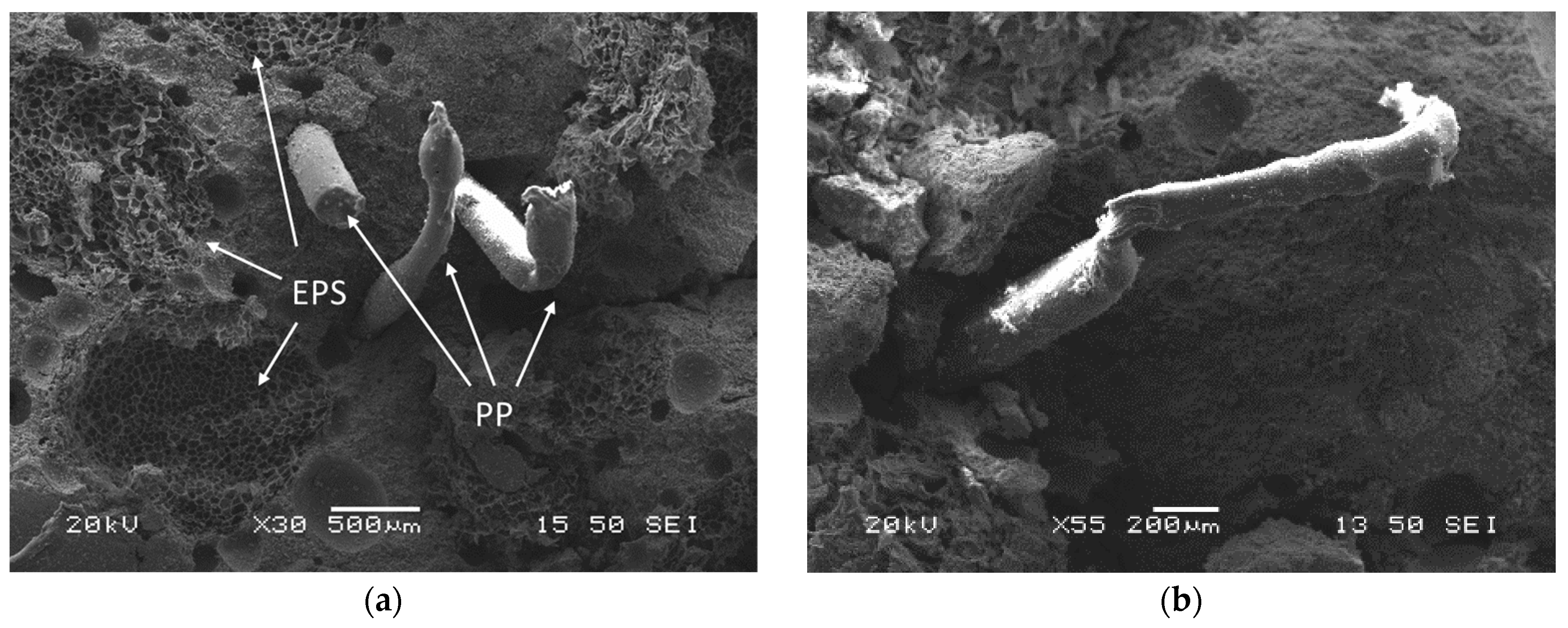 Ceramics 05 00060 g009