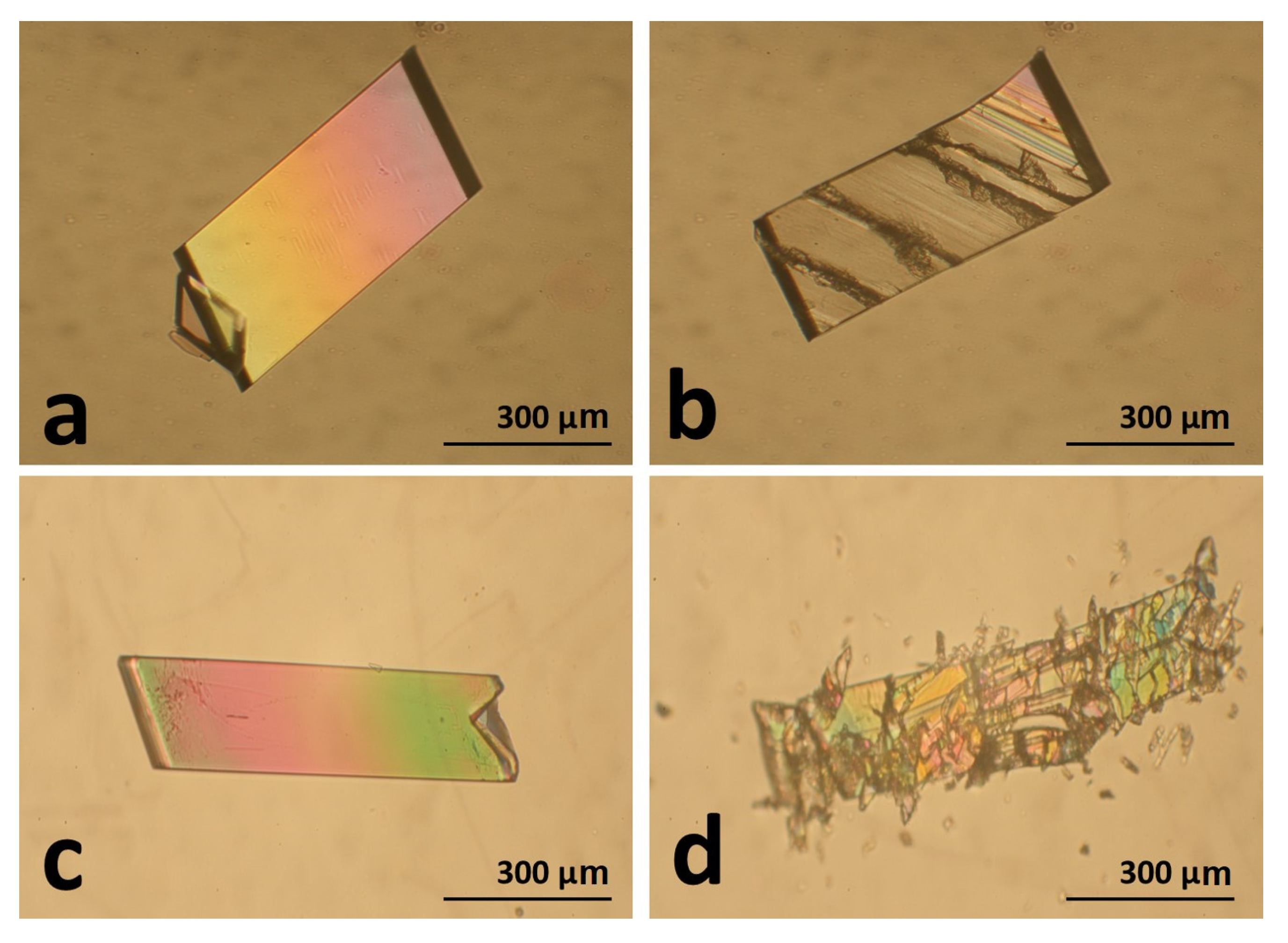 Ceramics 06 00002 g002