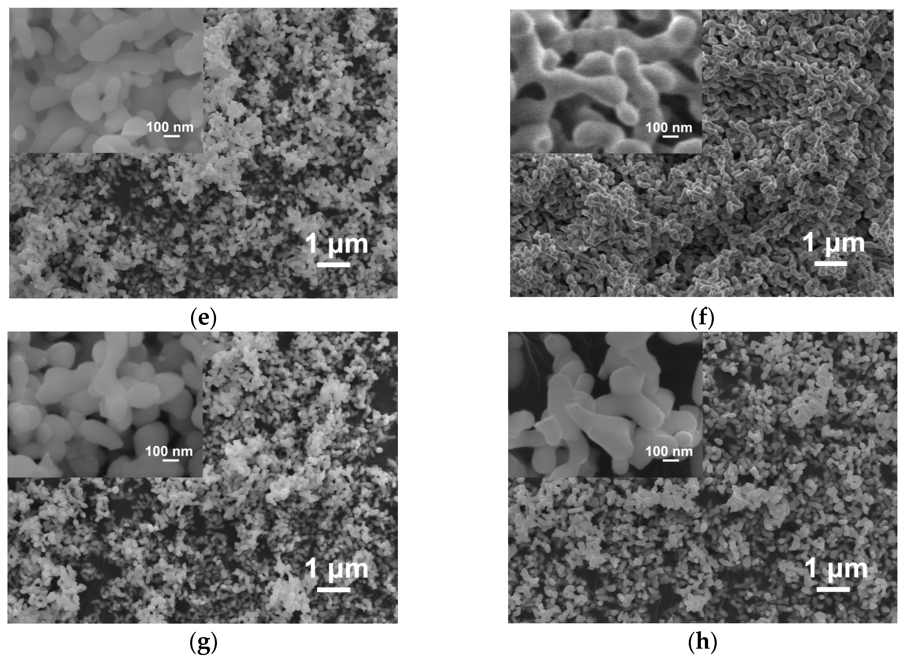Ceramics 06 00004 g001b Ceramics 06 00004 g001b