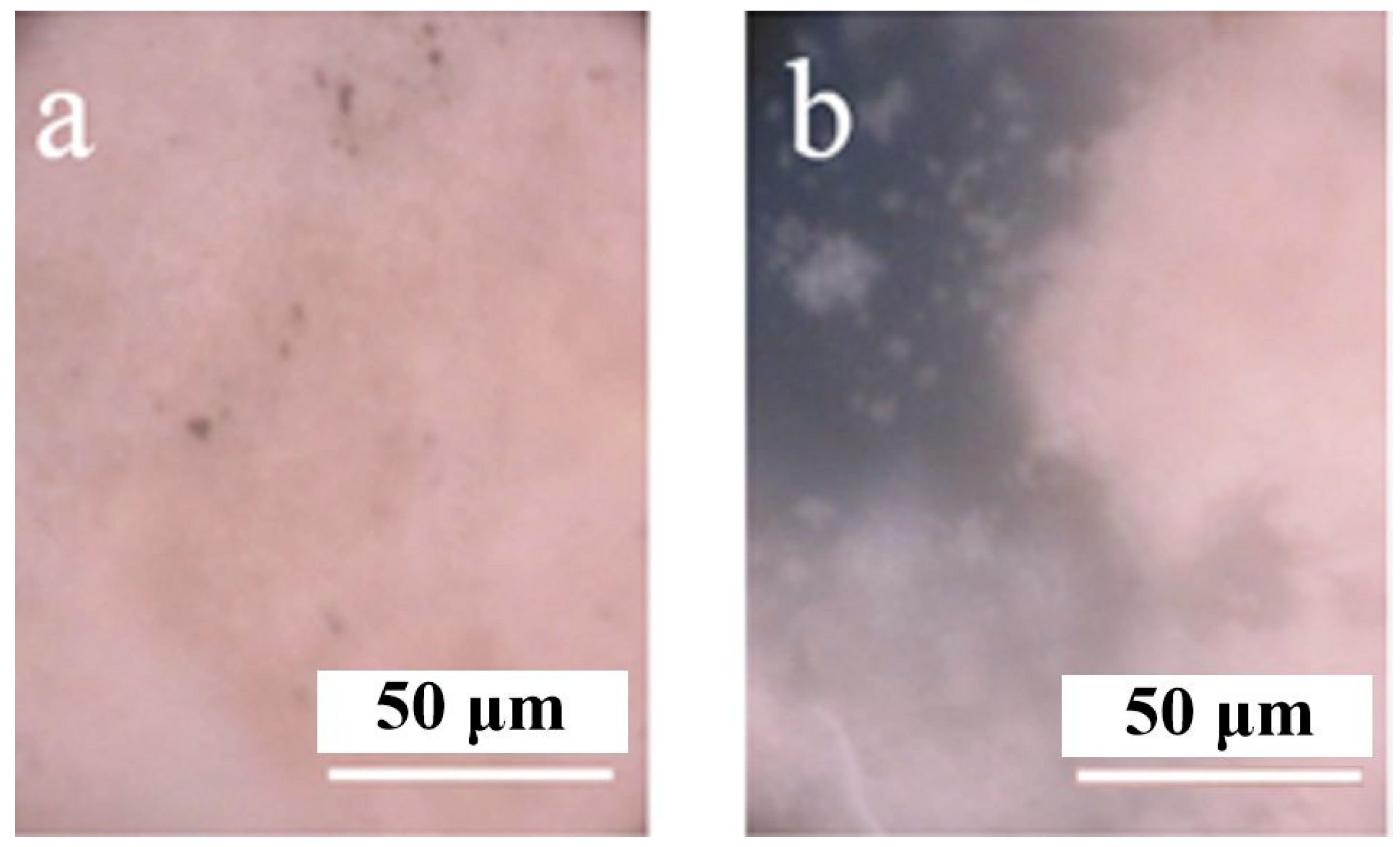 Ceramics 06 00007 g006