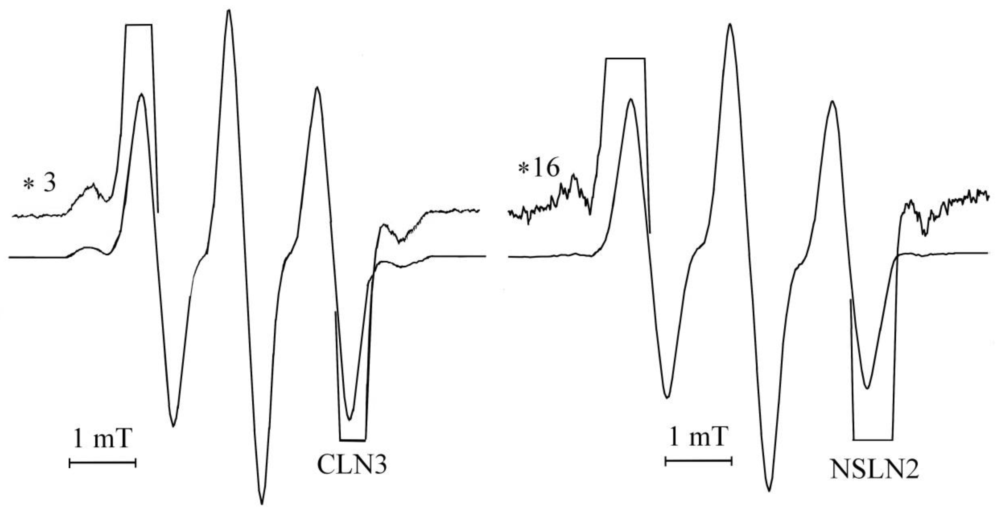 Ceramics 06 00025 g008