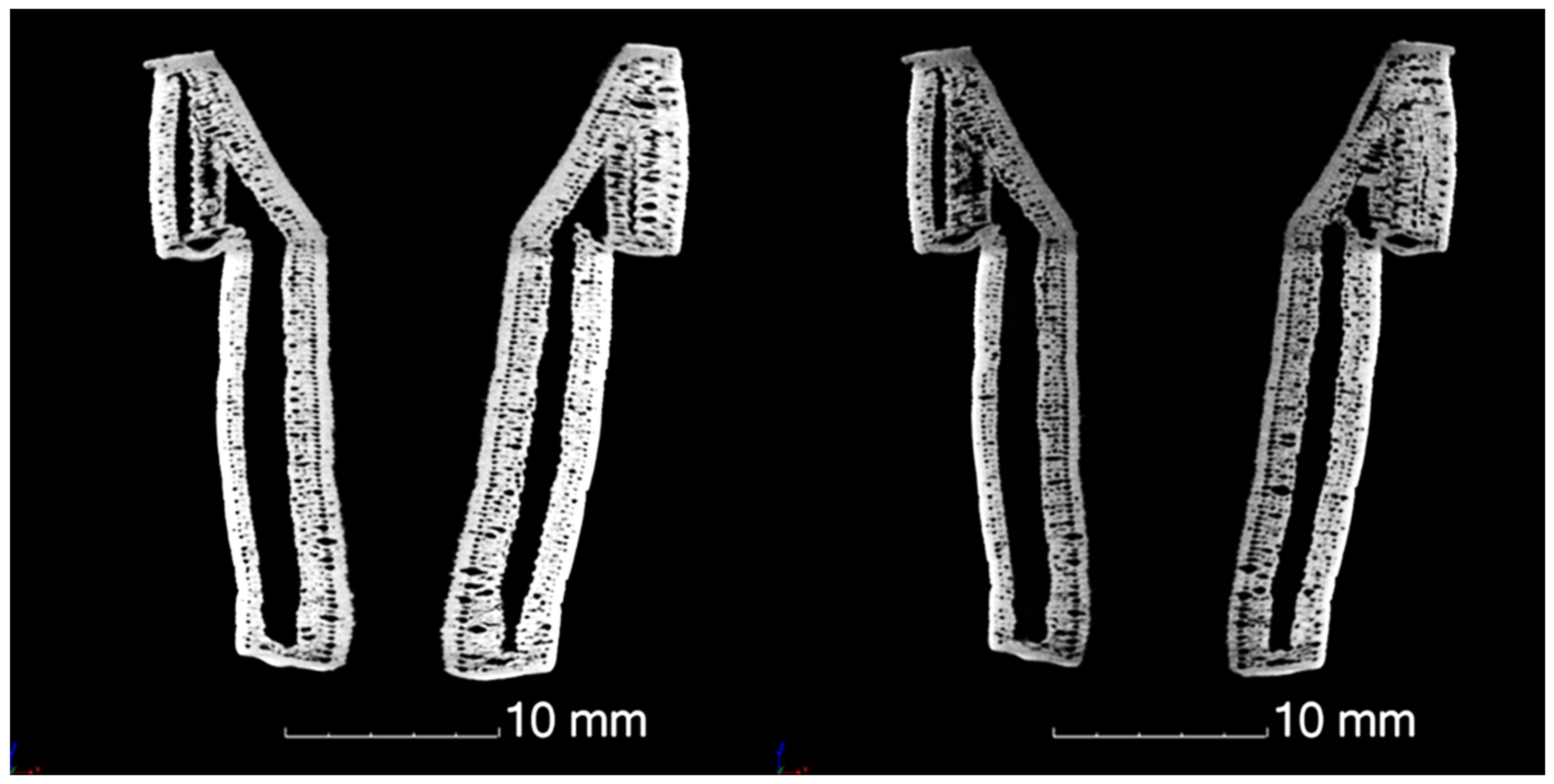 Ceramics 06 00027 g012 550