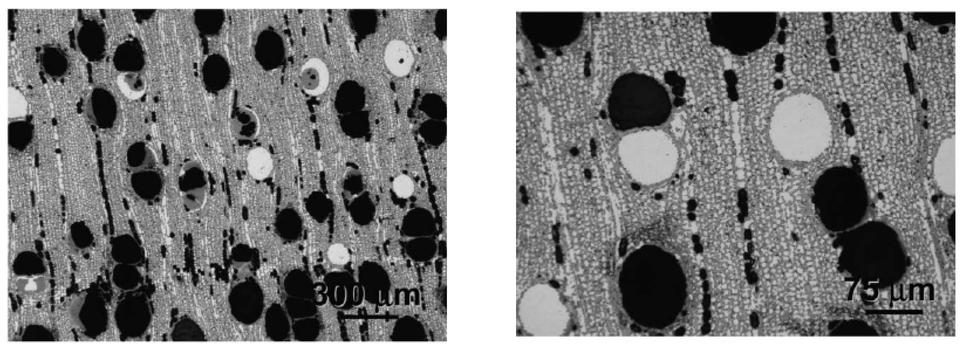 Ceramics 06 00059 g004