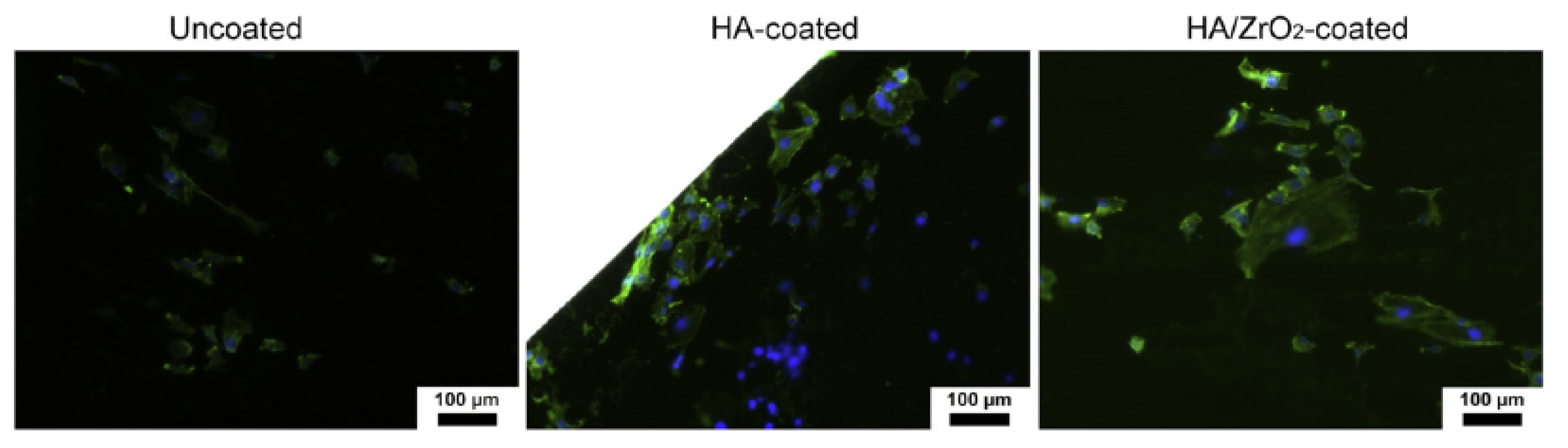 Ceramics 06 00059 g005