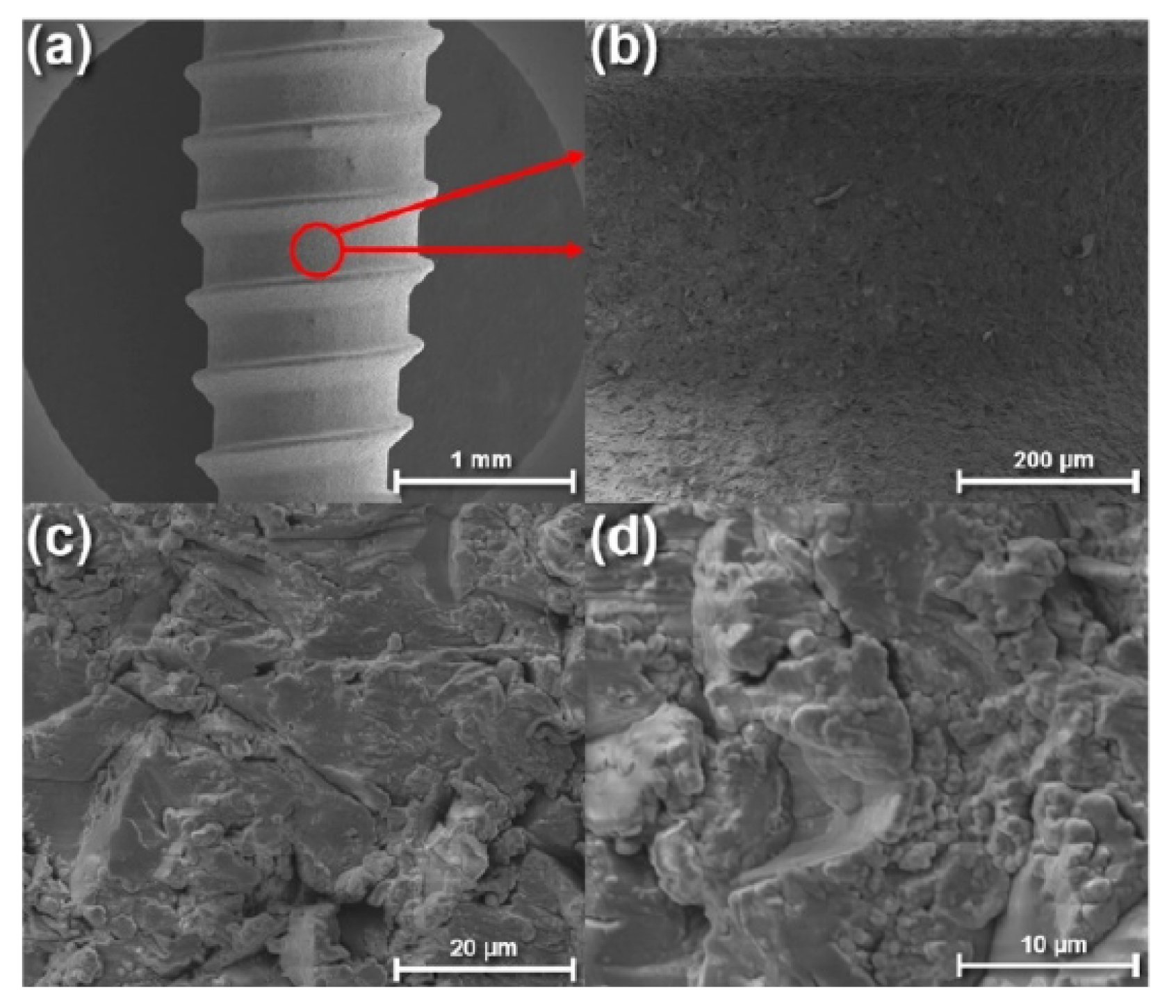 Ceramics 06 00059 g006