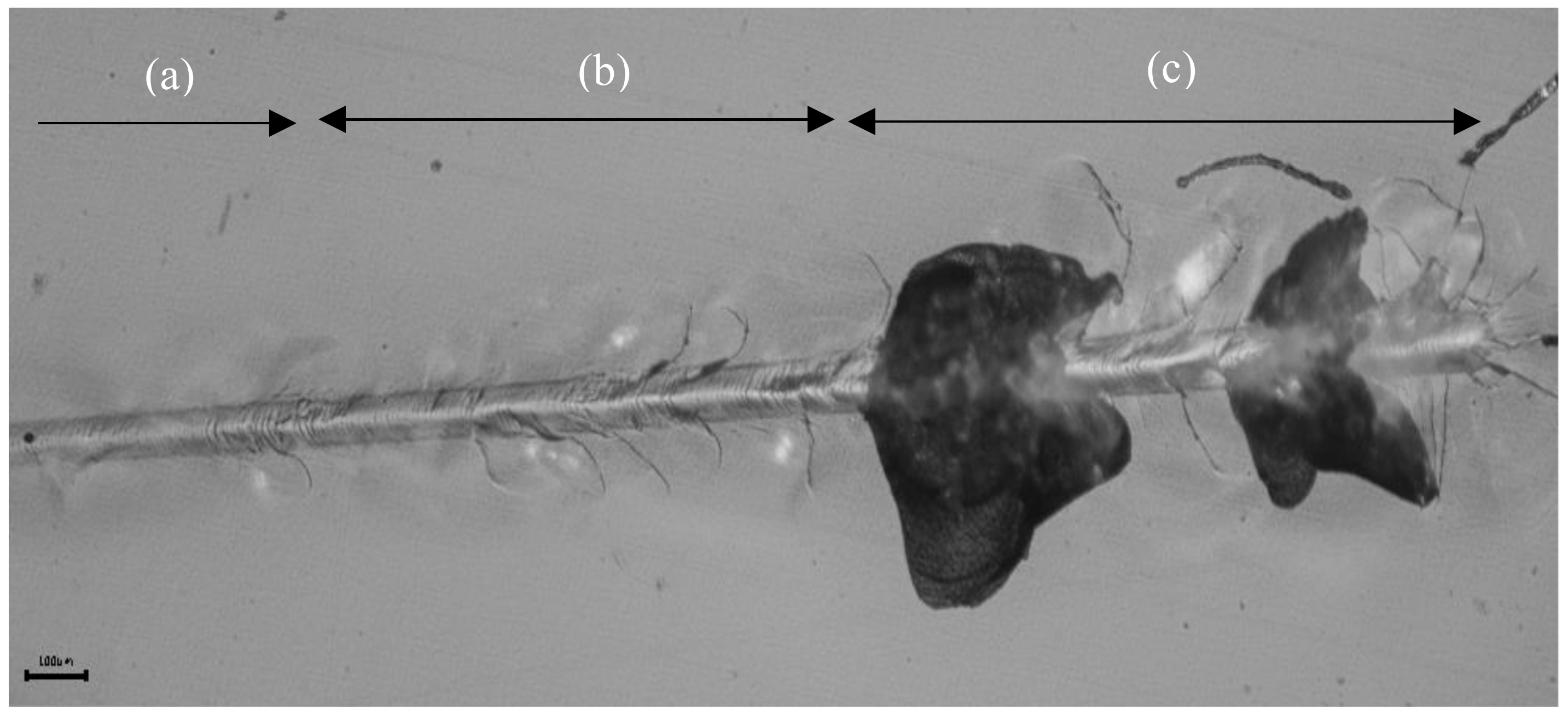 Ceramics 06 00072 g014