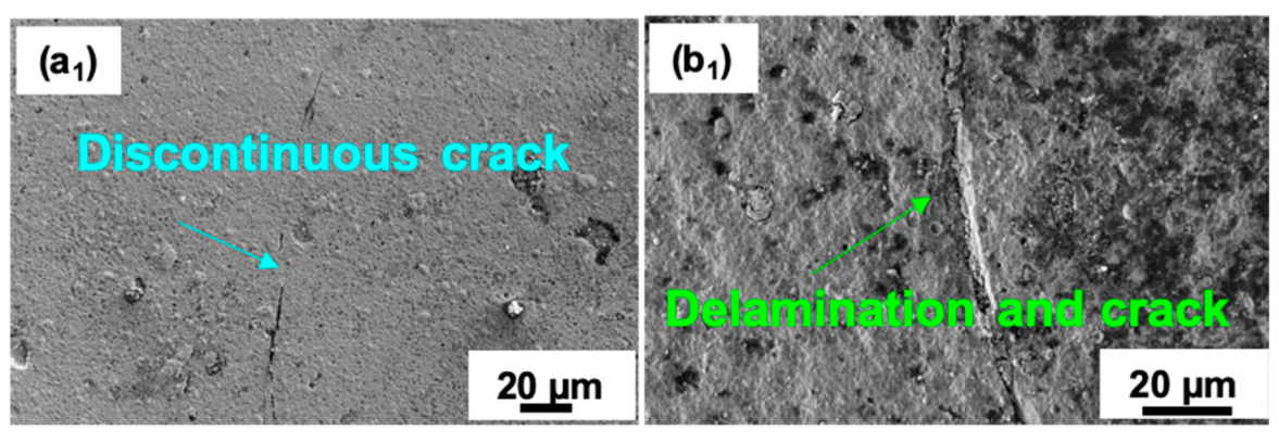 Ceramics 06 00075 g008