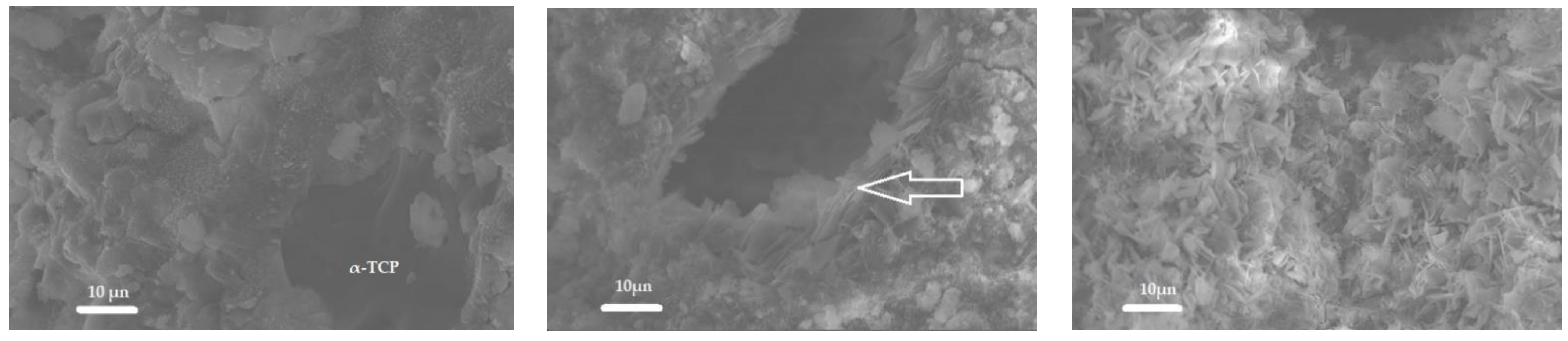Ceramics 06 00086 g005 Ceramics 06 00086 g005