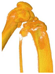 Ceramics 06 00086 i001 Ceramics 06 00086 i001