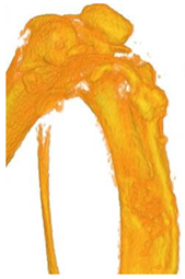 Ceramics 06 00086 i002 Ceramics 06 00086 i002