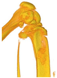 Ceramics 06 00086 i003 Ceramics 06 00086 i003