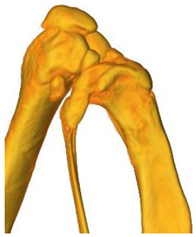 Ceramics 06 00086 i007 Ceramics 06 00086 i007