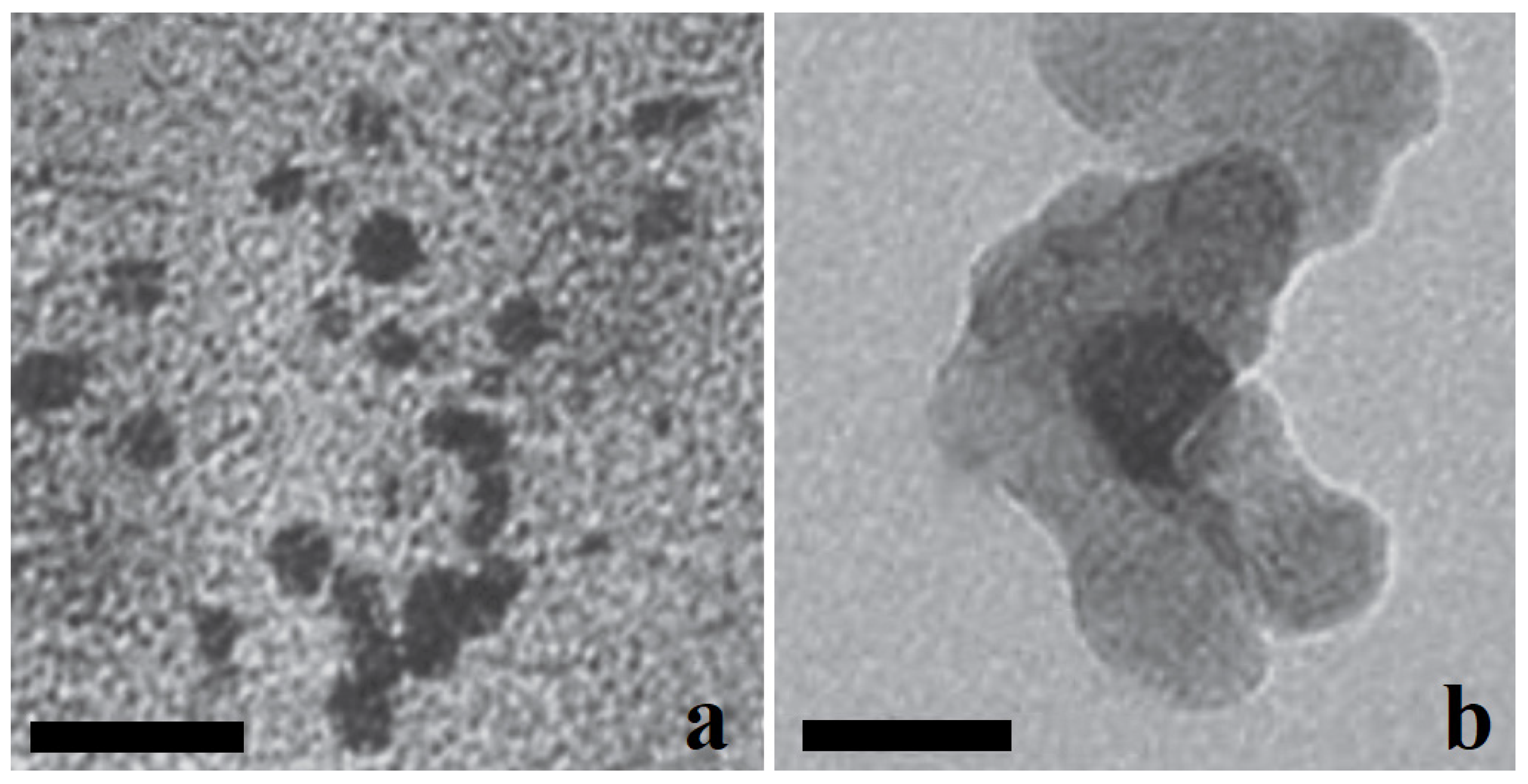 Ceramics 06 00099 g001