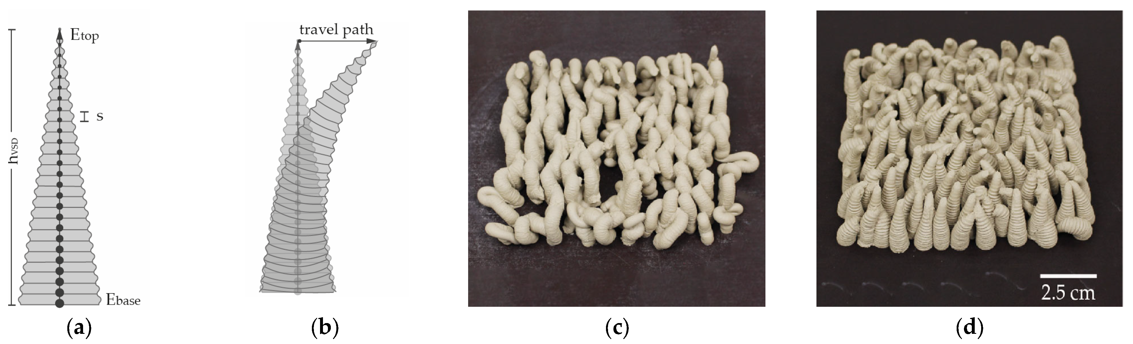 Ceramics 06 00124 g005