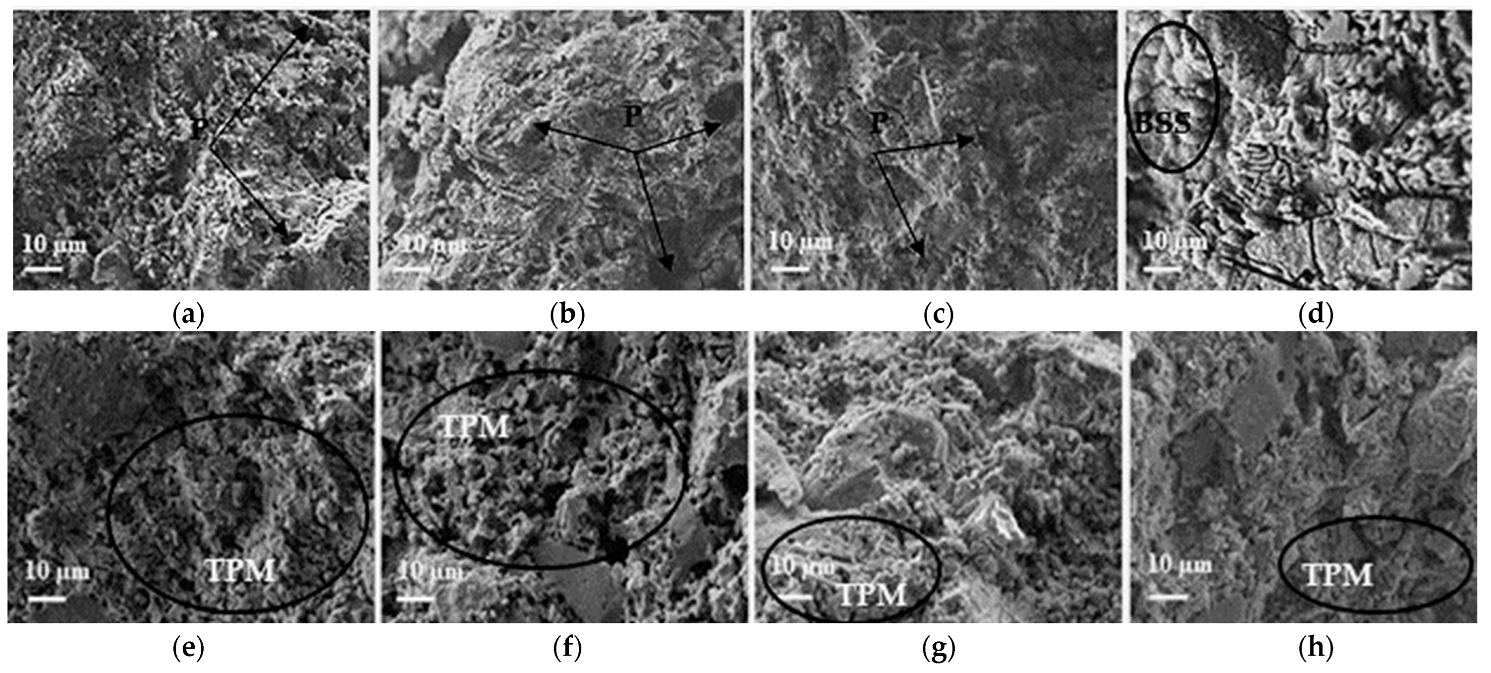 Ceramics 06 00142 g003