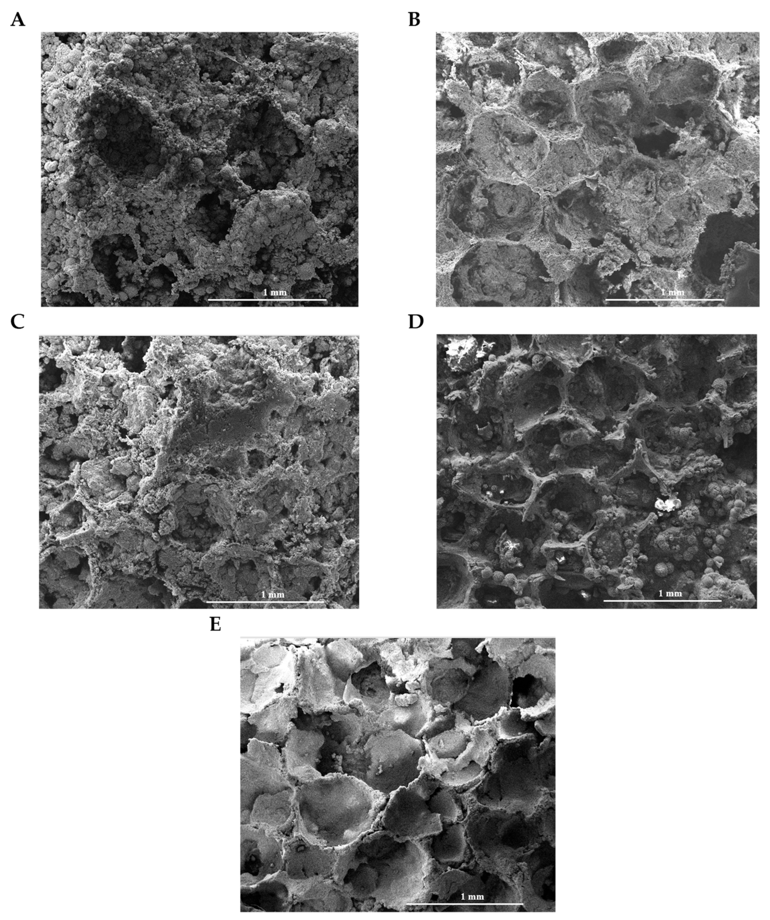 Ceramics 06 00143 g006